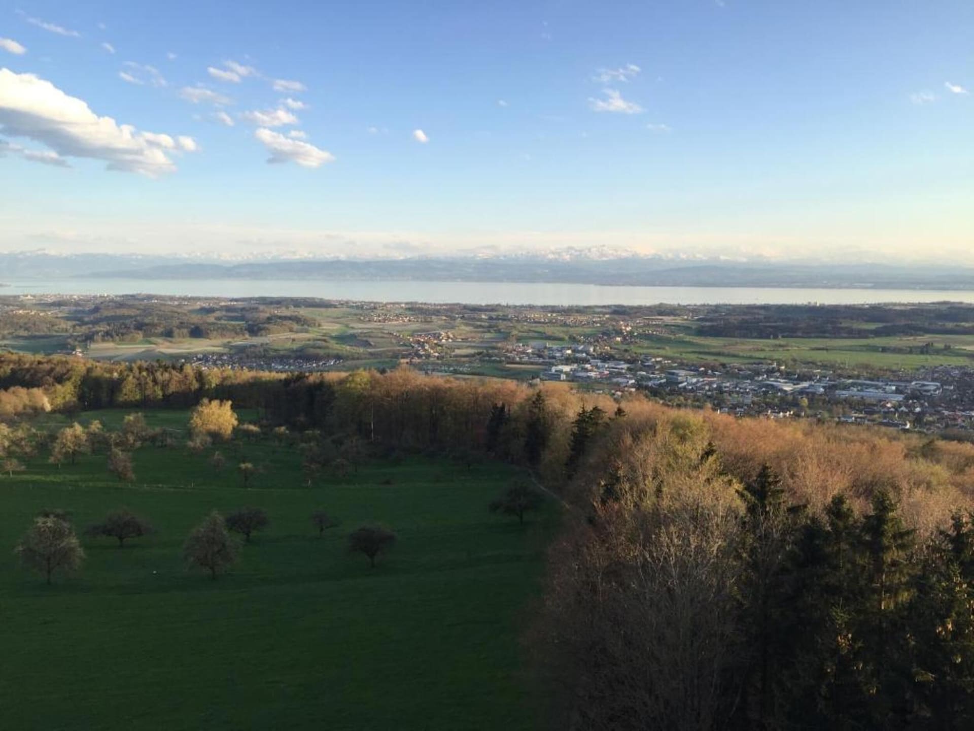 Boszicht appartement voor 4 aan de golfbaan in Markdorf - foto 29