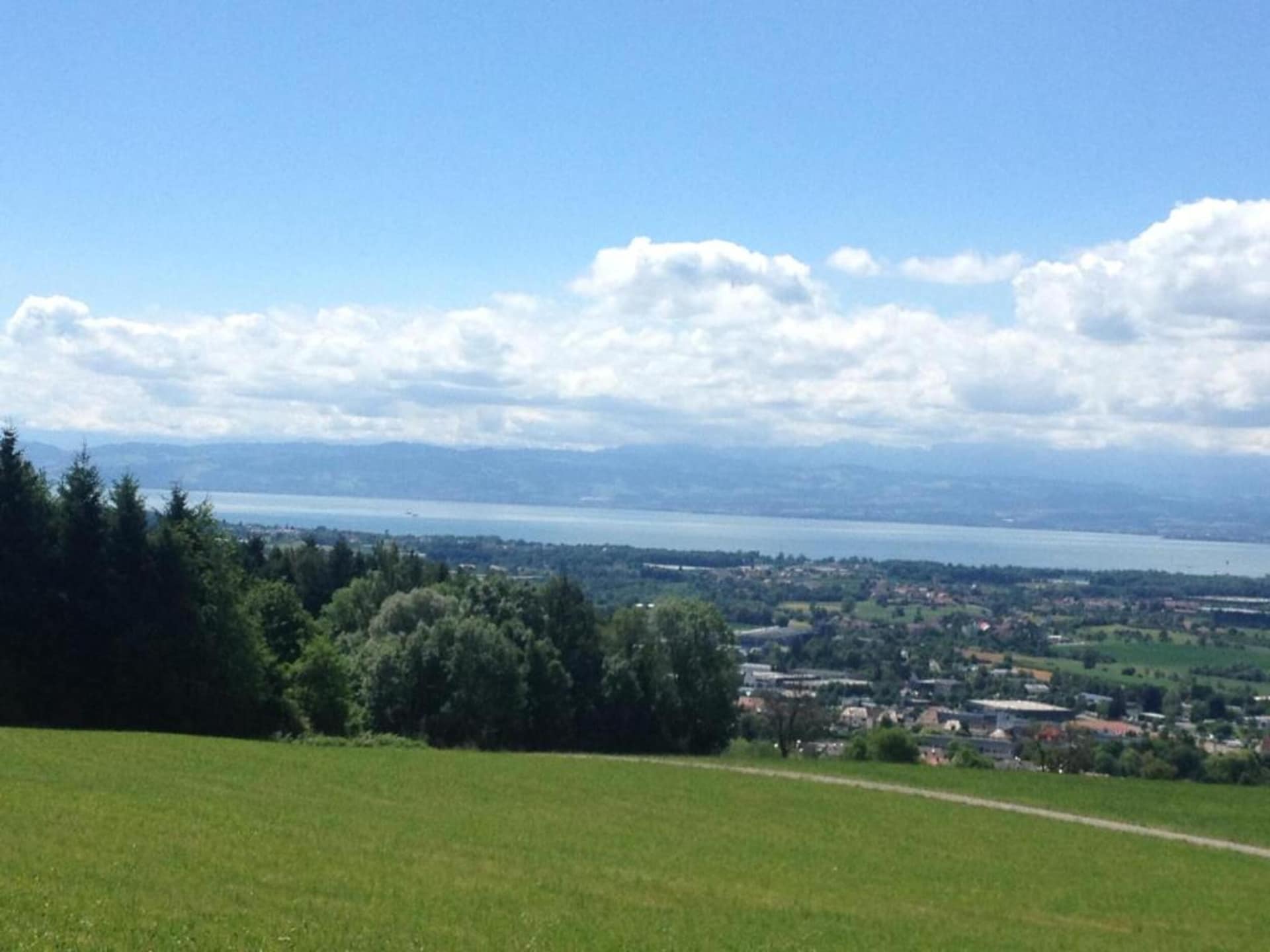 Boszicht appartement voor 4 aan de golfbaan in Markdorf - foto 30