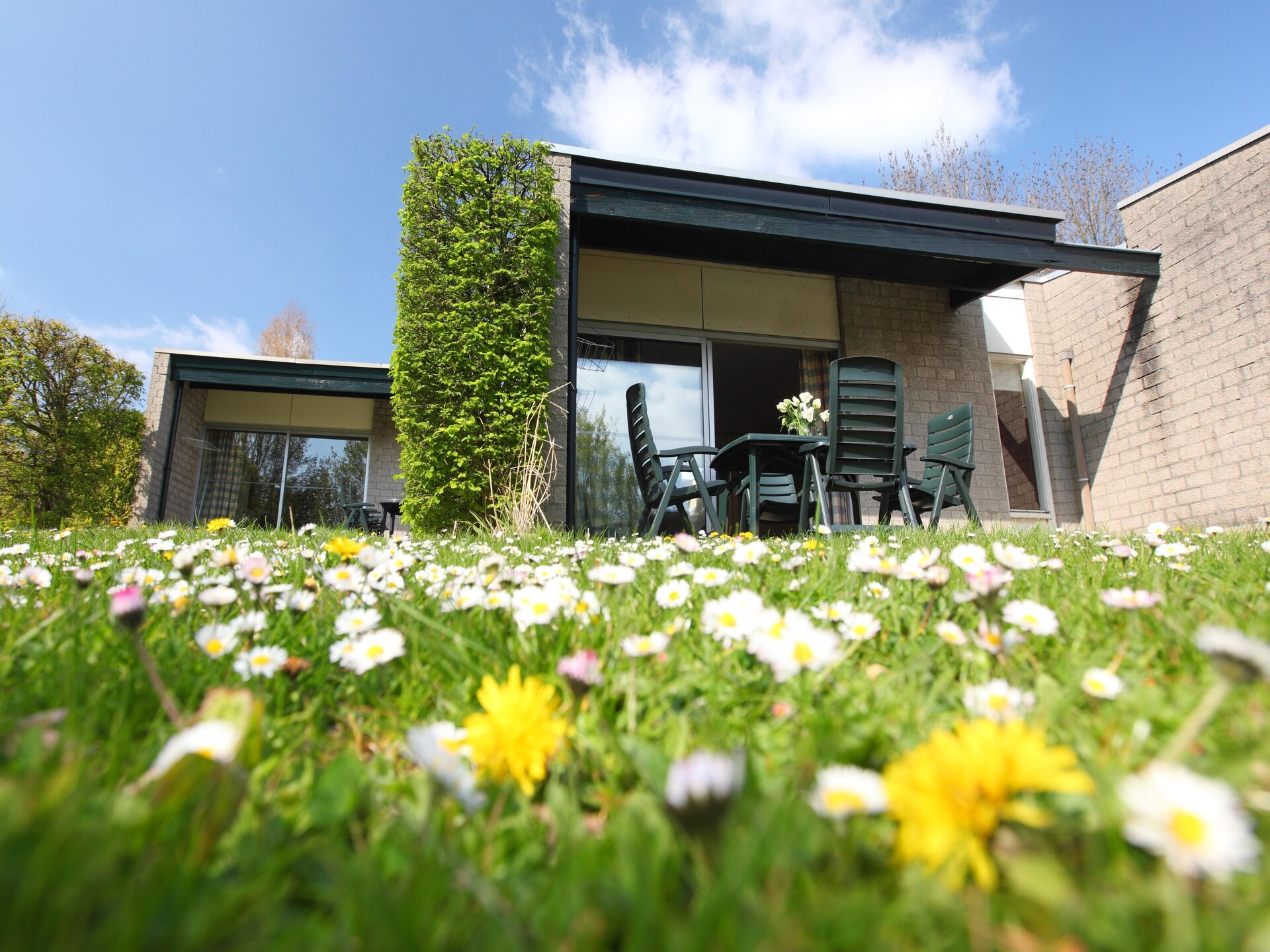Halfvrijstaande bungalow in autovrij park, 4 km van Valkenburg - foto 21
