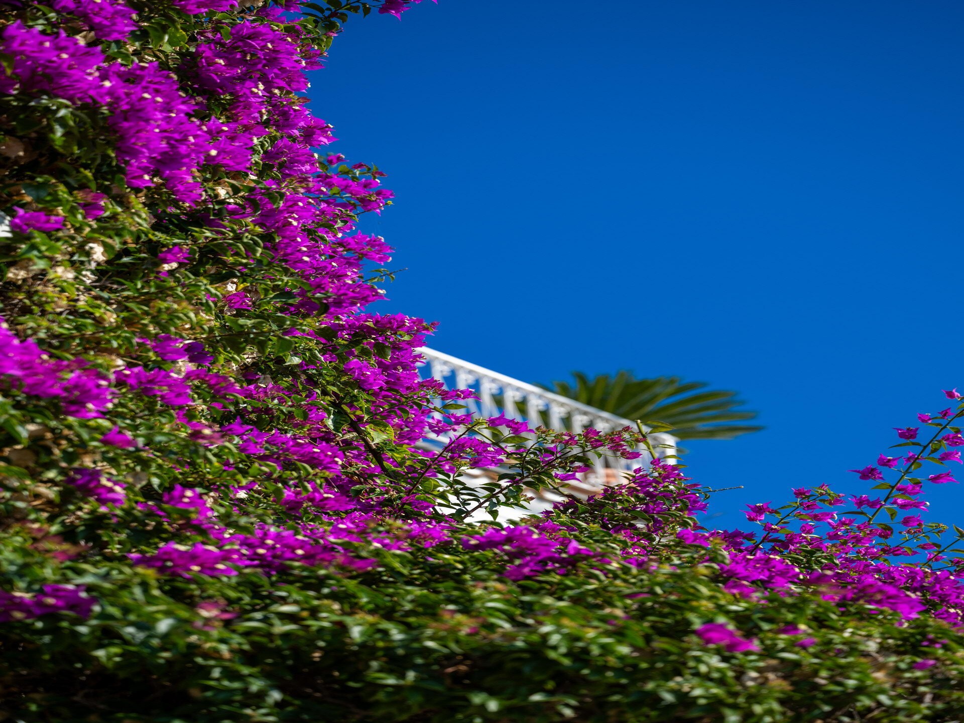 Intiem verblijf in Arienzo, Positano – 500m van zee met privéterras - foto 5