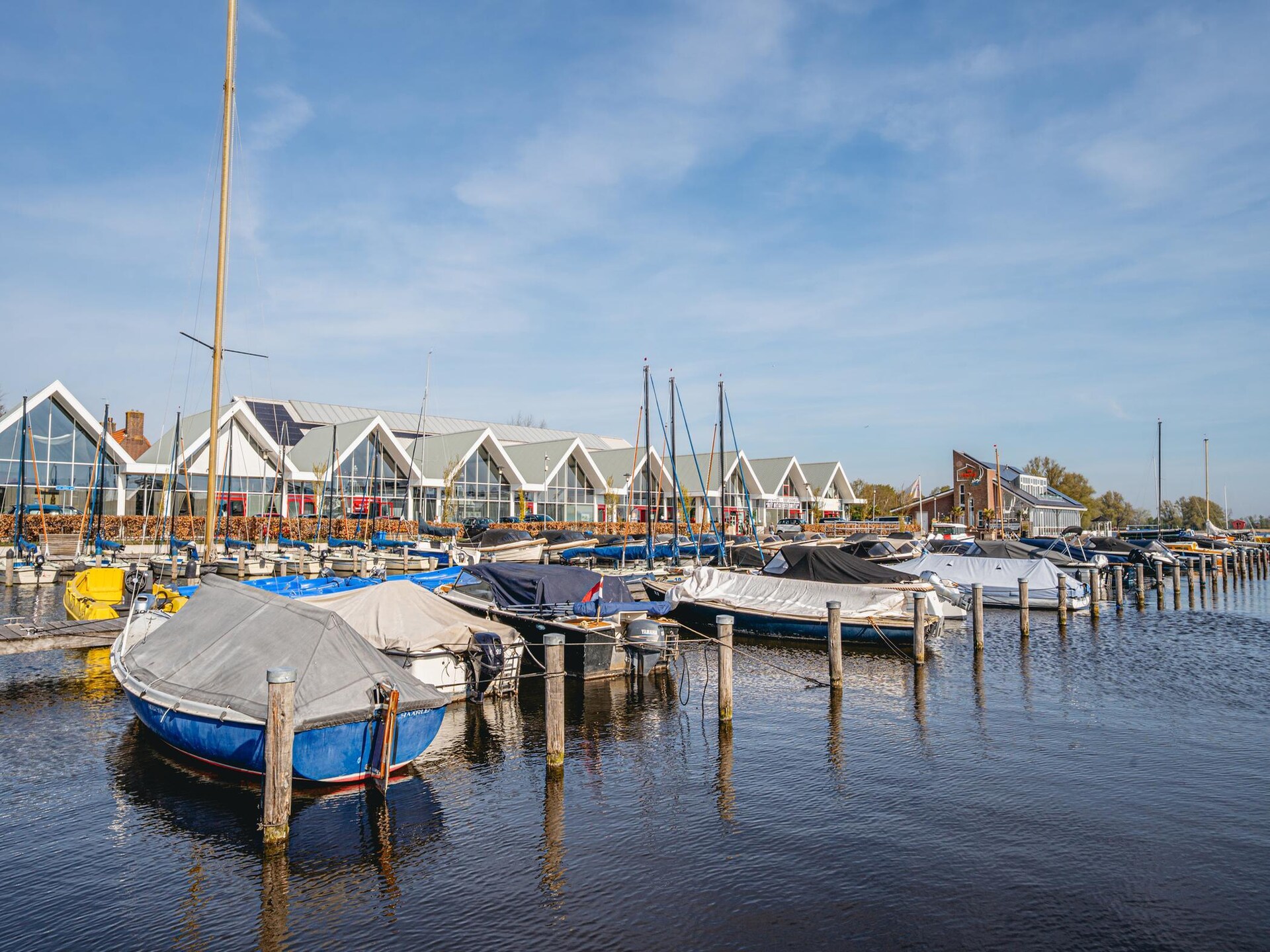 De ZeeParel Sea Fish – Knus vakantiehuis aan de kust van Egmond aan Zee - foto 28