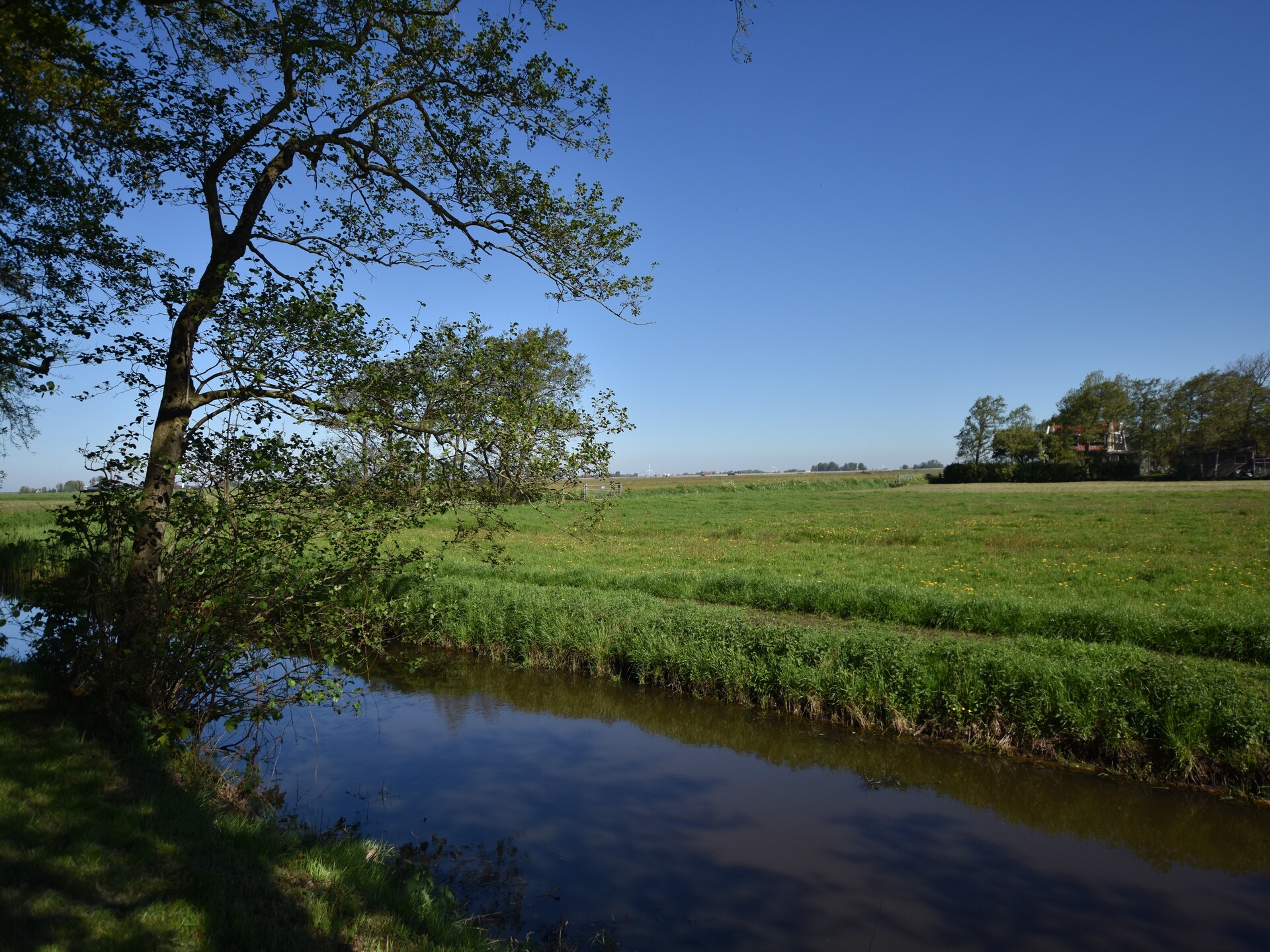 Luxe vakantiehuis Berkenhof in Workum met weids uitzicht over Friese landerijen - foto 24