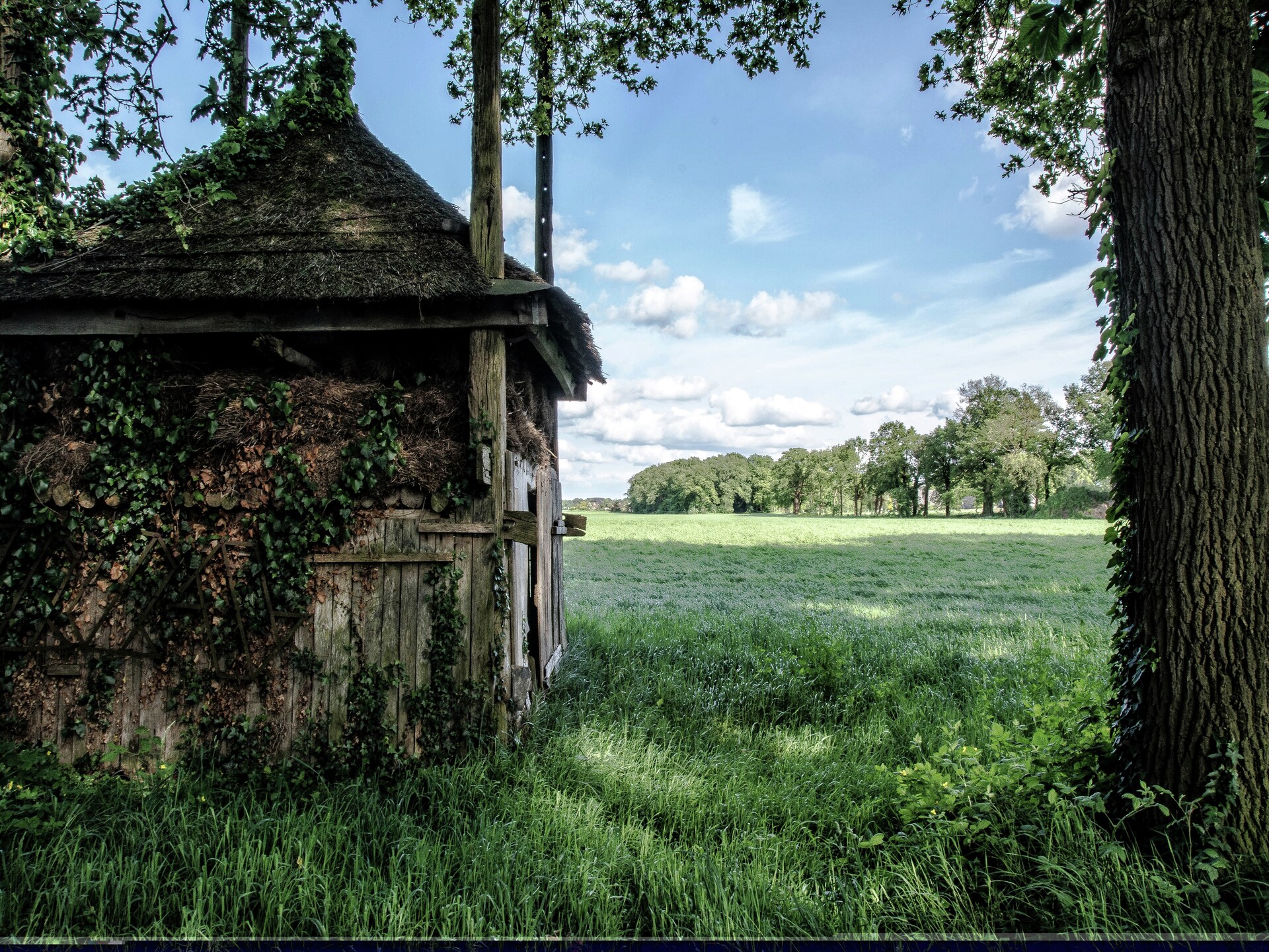 Sfeervolle boerderij De Dekenkist: rust, natuur en authentieke charme in Geesteren - foto 21
