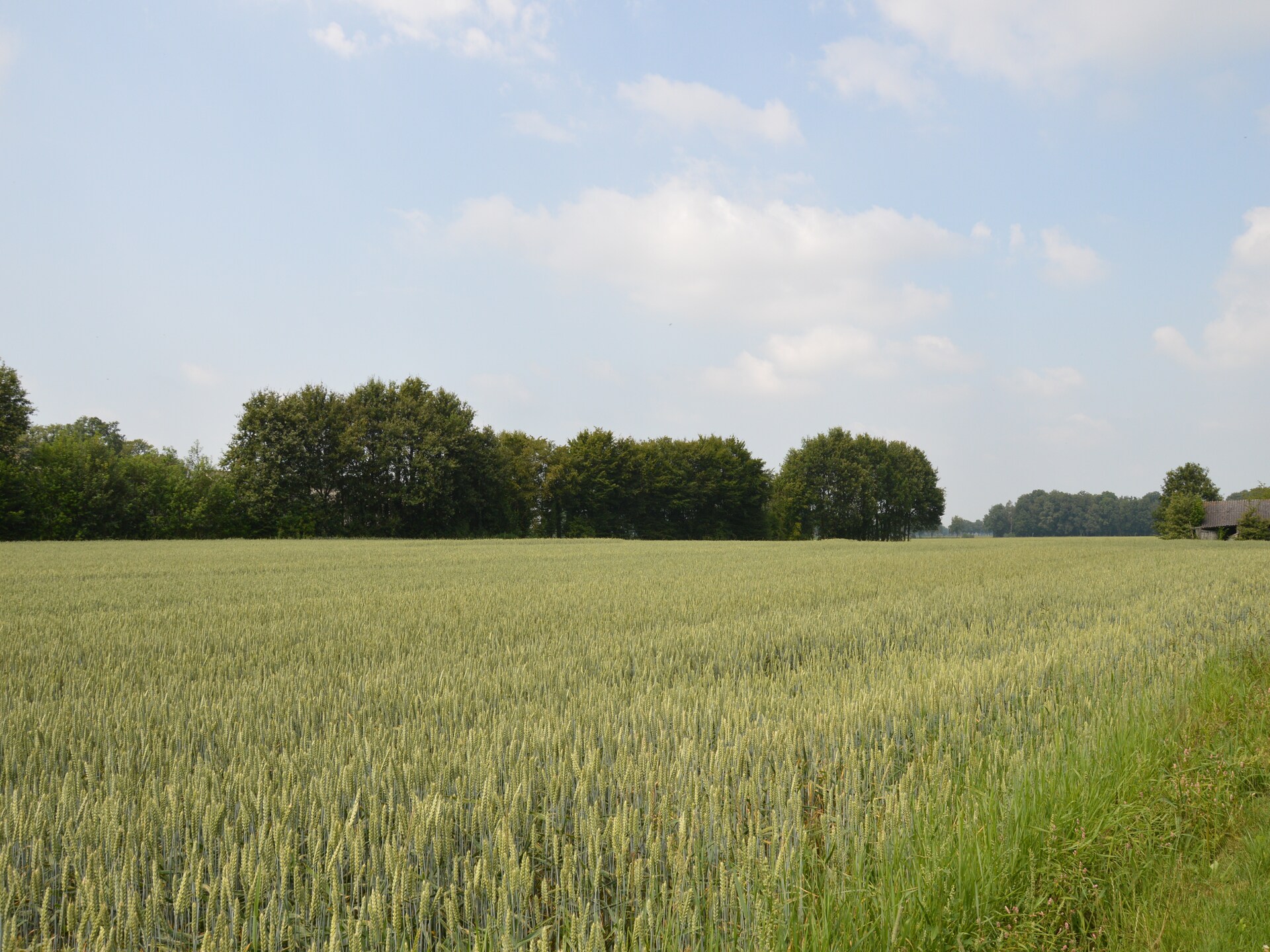 Sfeervolle boerderij De Dekenkist: rust, natuur en authentieke charme in Geesteren - foto 17