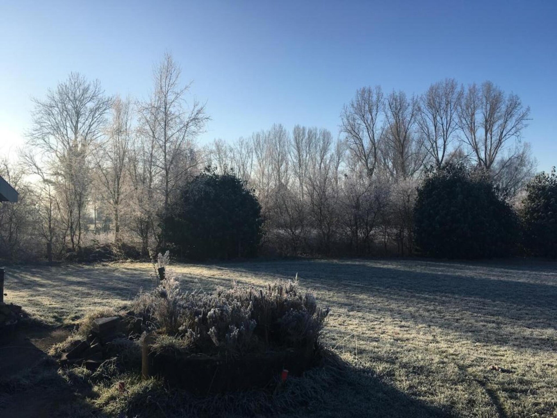 Sfeervolle boerderij De Dekenkist: rust, natuur en authentieke charme in Geesteren - foto 27
