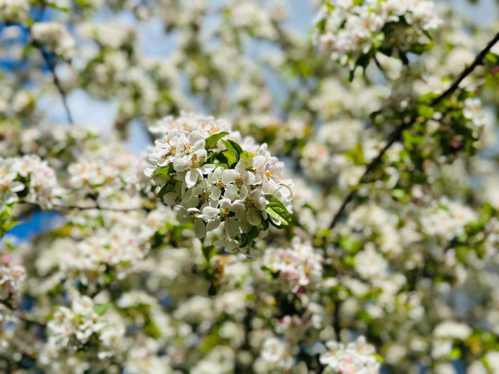 Sfeervolle boerderij De Dekenkist: rust, natuur en authentieke charme in Geesteren - foto 29