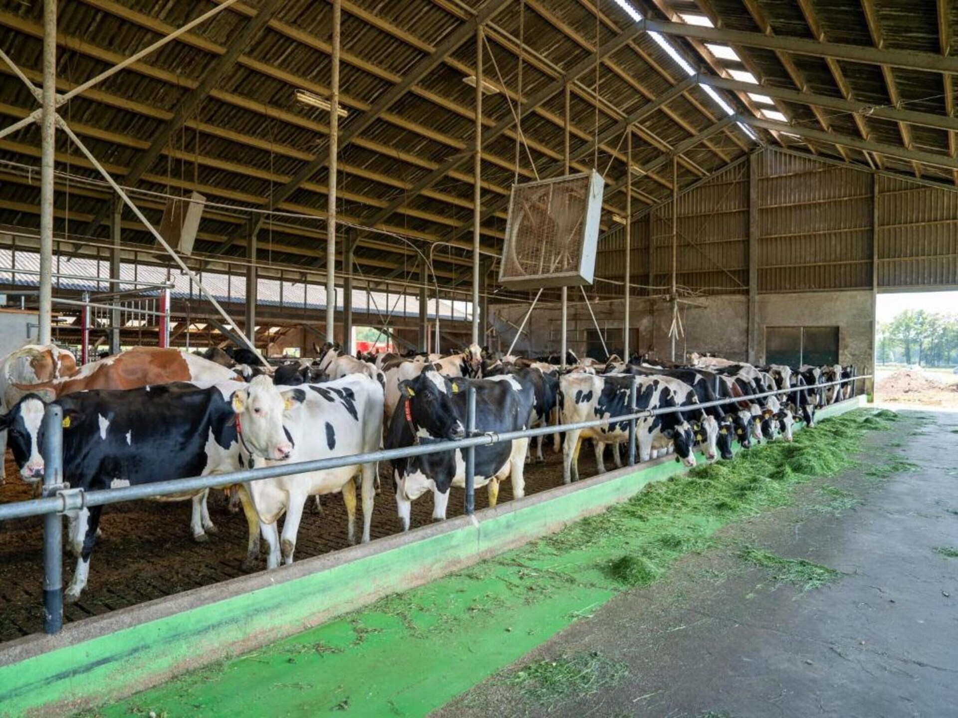 Sfeervolle boerderij De Dekenkist: rust, natuur en authentieke charme in Geesteren - foto 24