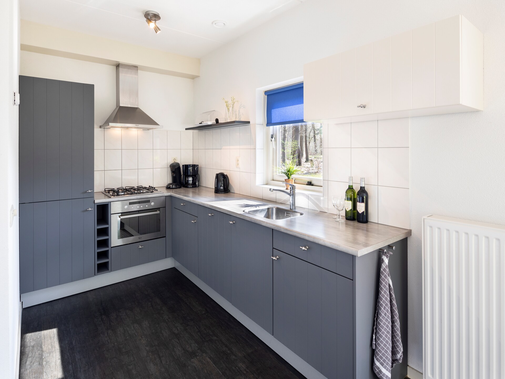 Marke van Ruinen 6 – Luxe wellnessvilla met sauna in Drenthe - foto 7