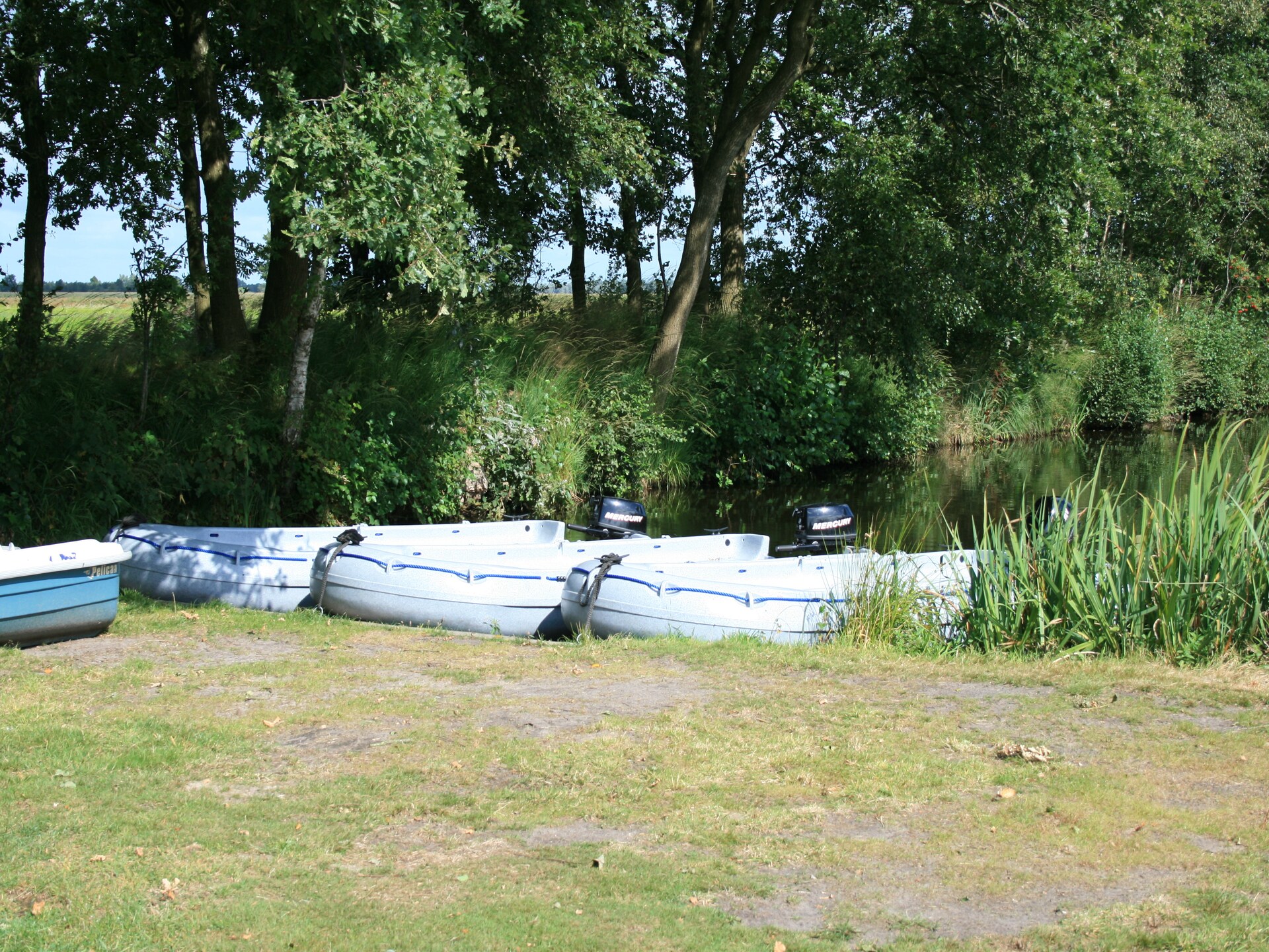 Vrijstaand vakantiehuis Landgoed Eysinga State 4 in Sint Nicolaasga - foto 18