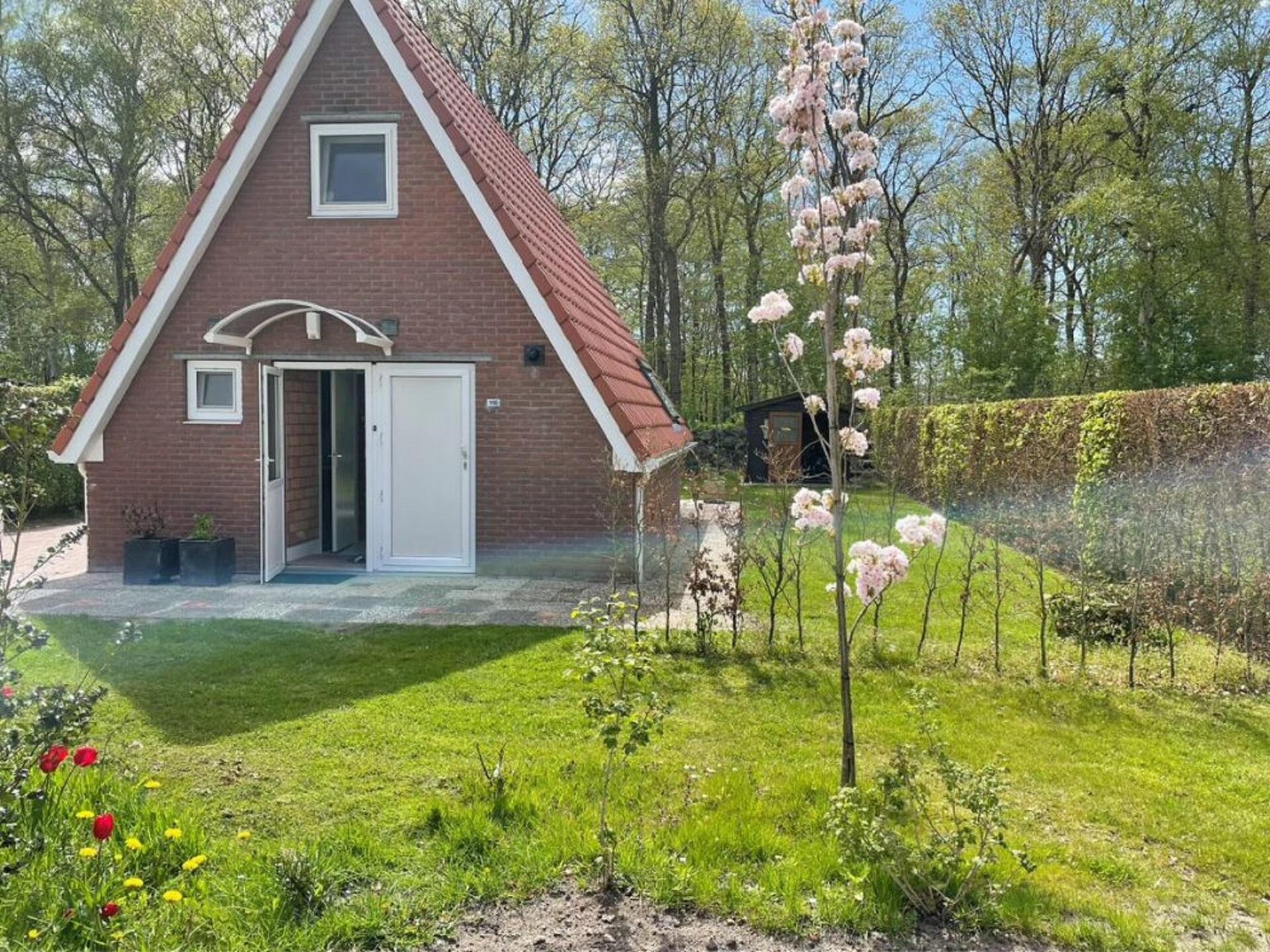 Vrijstaand vakantiehuis Landgoed Eysinga State 4 in Sint Nicolaasga - foto 8