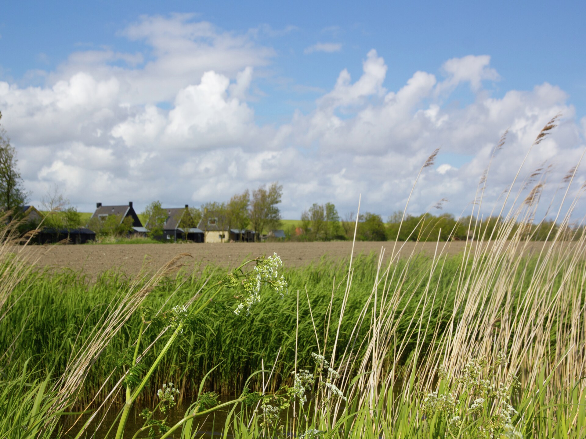 Villa Zeedijk I: sfeervol vakantiehuis aan de Friese kust met hond - foto 28