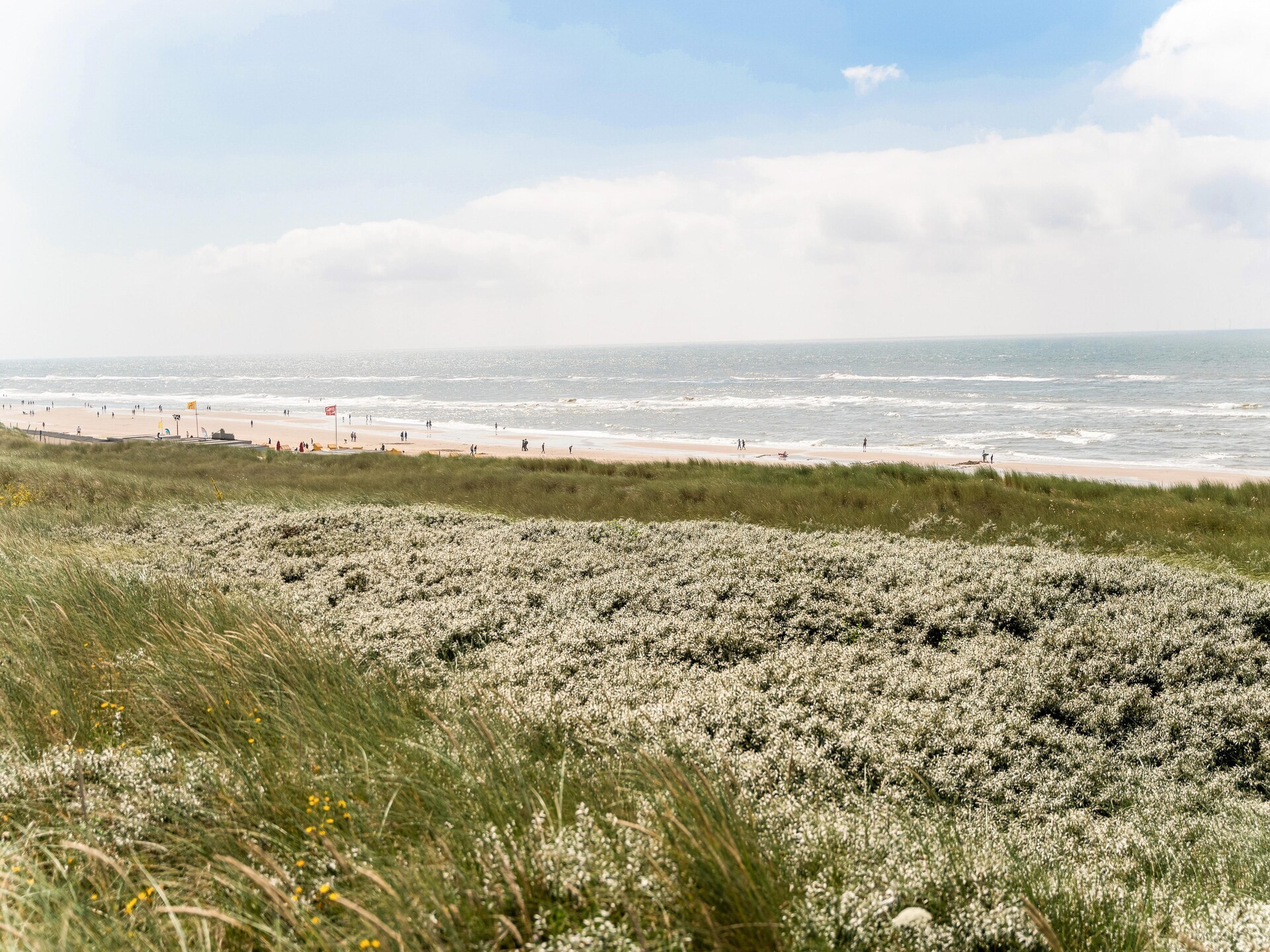 Vrijstaand vakantiehuis naast het Bollenveld in Egmond-Binnen - foto 29