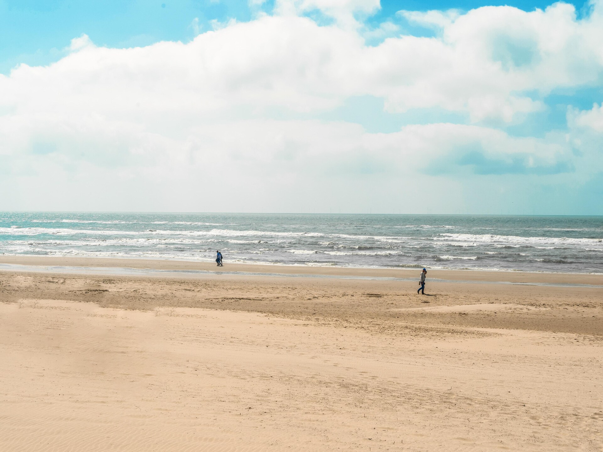 Vrijstaand vakantiehuis naast het Bollenveld in Egmond-Binnen - foto 32