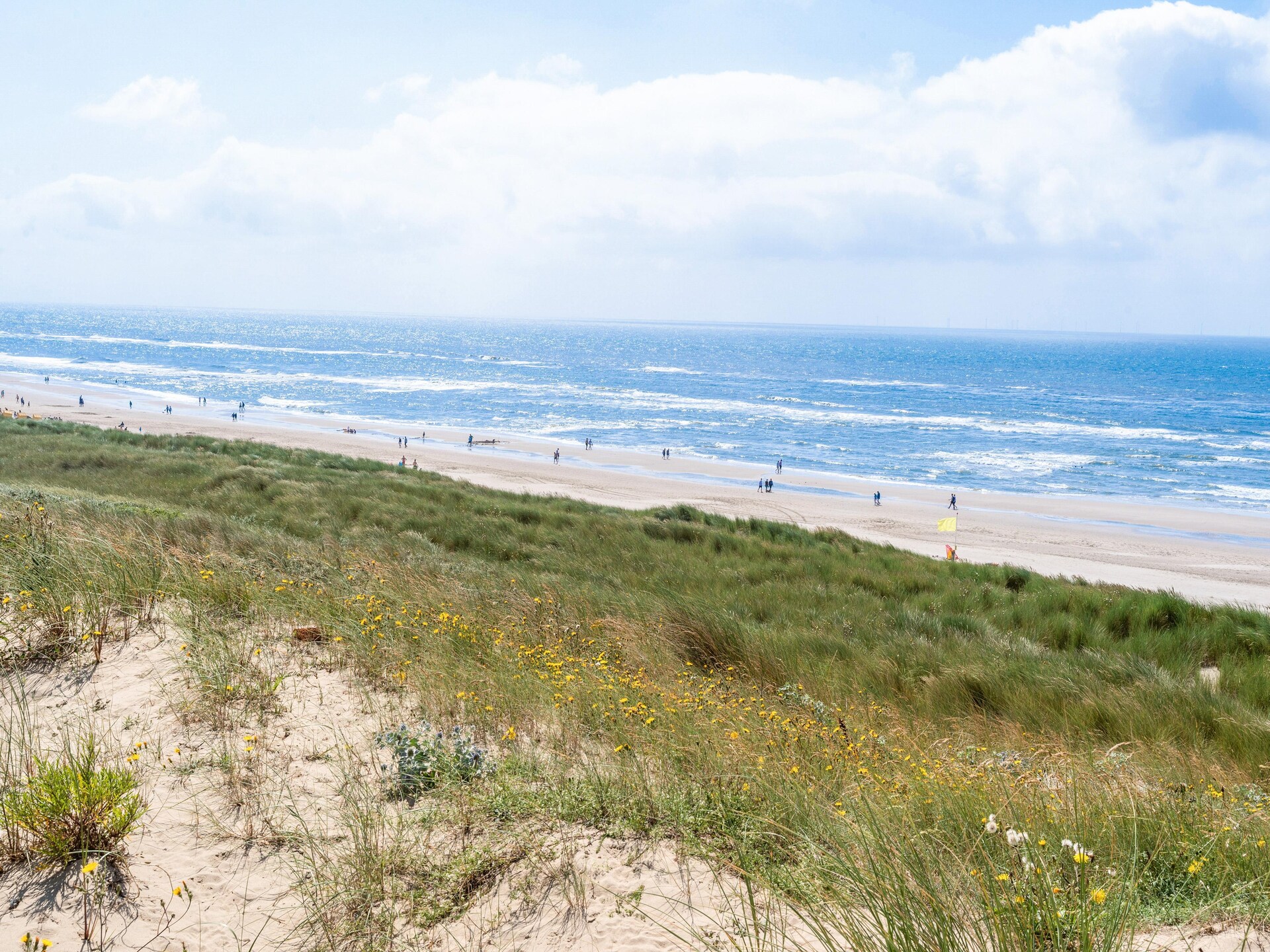 Vrijstaand vakantiehuis naast het Bollenveld in Egmond-Binnen - foto 35