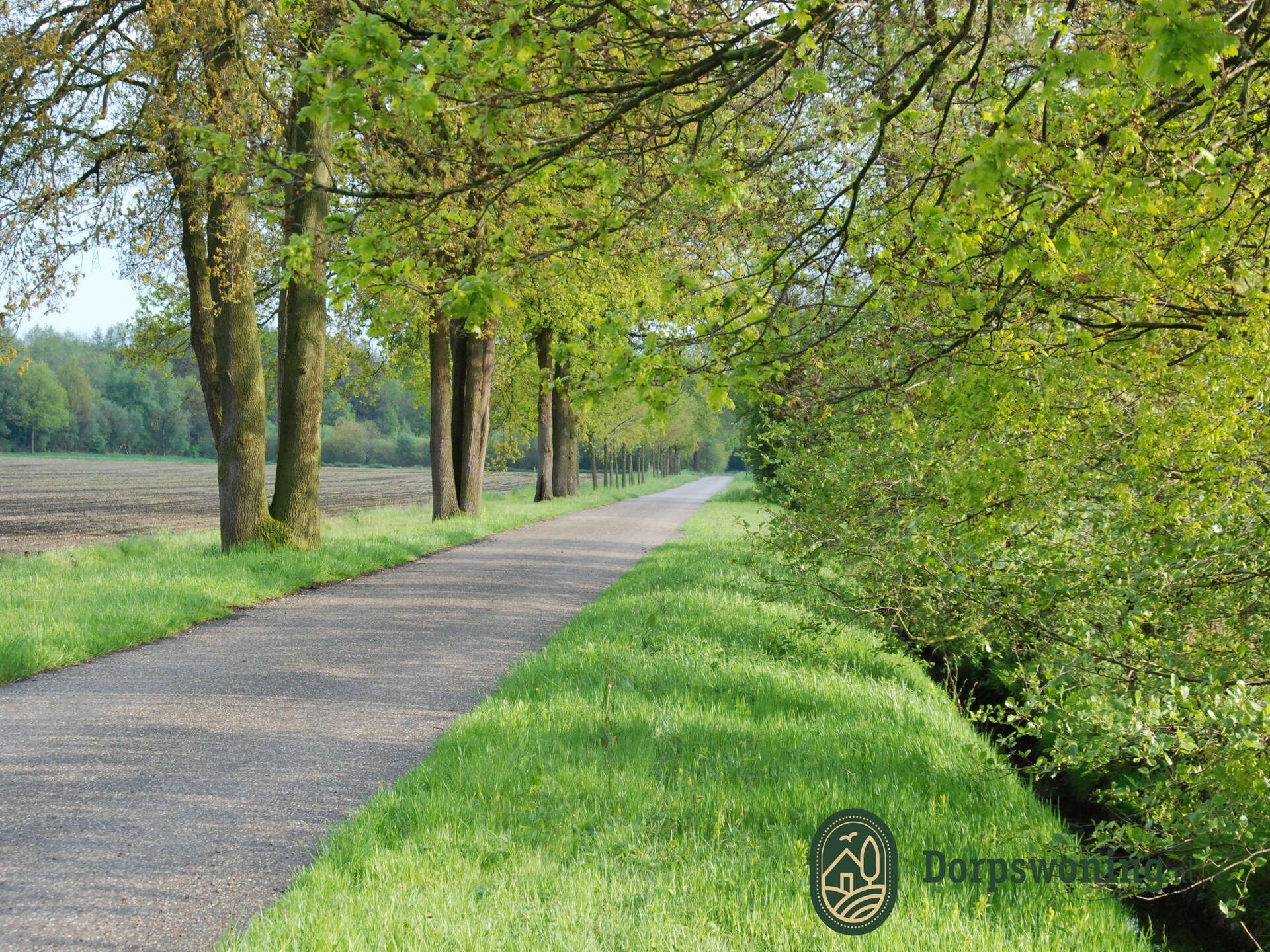 Dorpswoning De Plek – Vrijstaand familiehuis in het bos bij Leende - foto 25