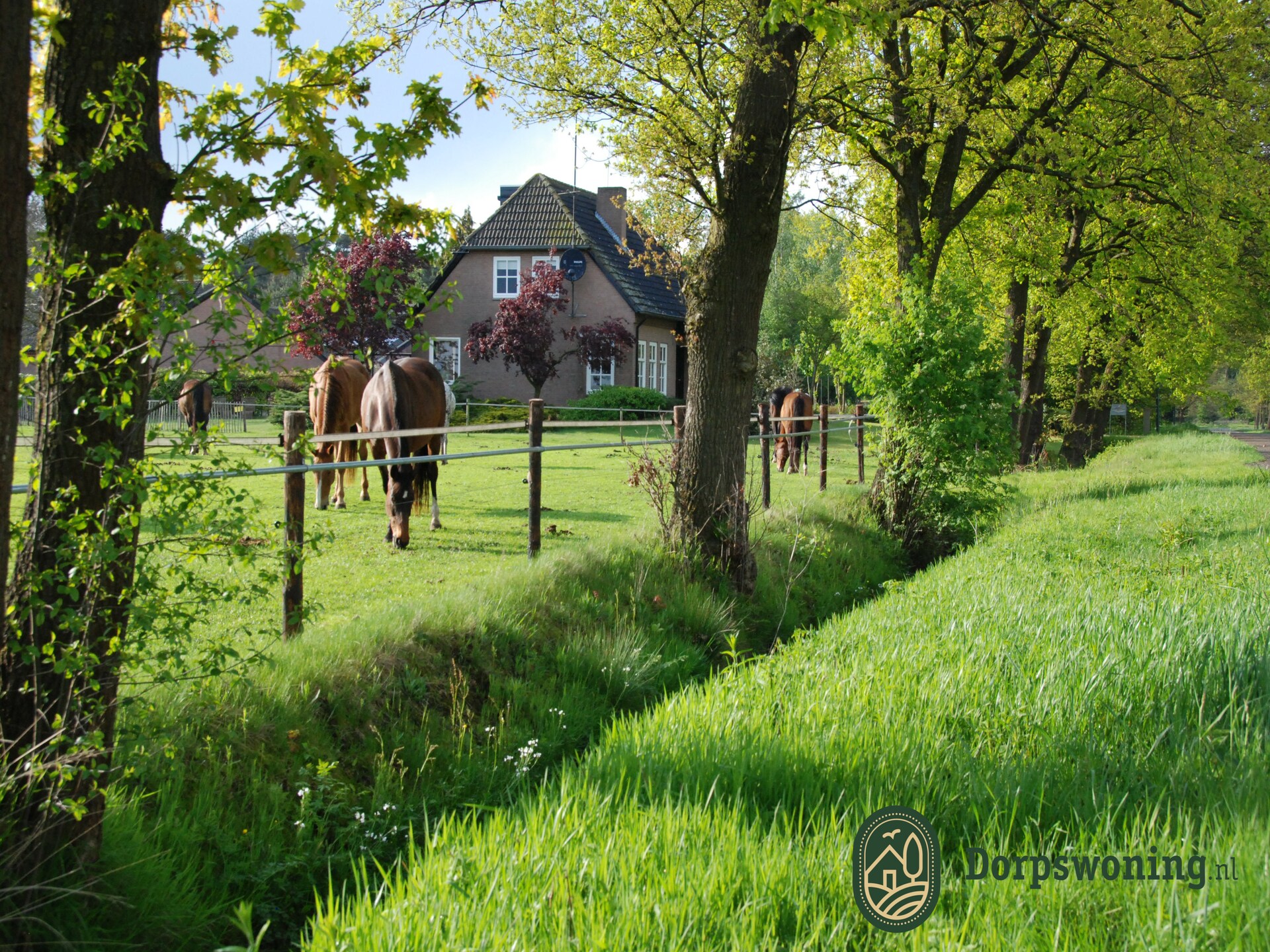 Dorpswoning De Plek – Vrijstaand familiehuis in het bos bij Leende - foto 6