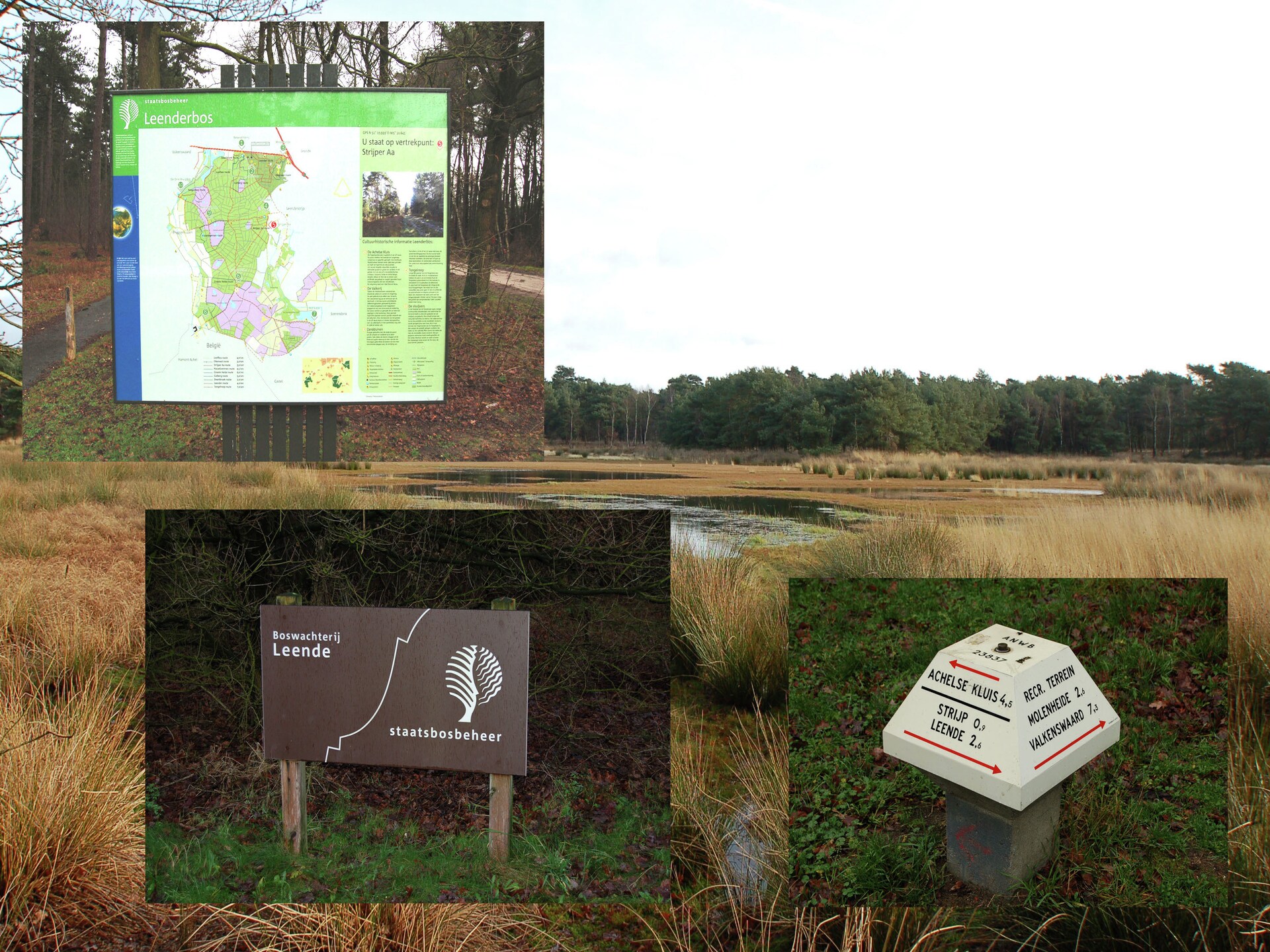 Dorpswoning Het Knusse: sfeervol vakantiehuis in het bos bij Leende - foto 25