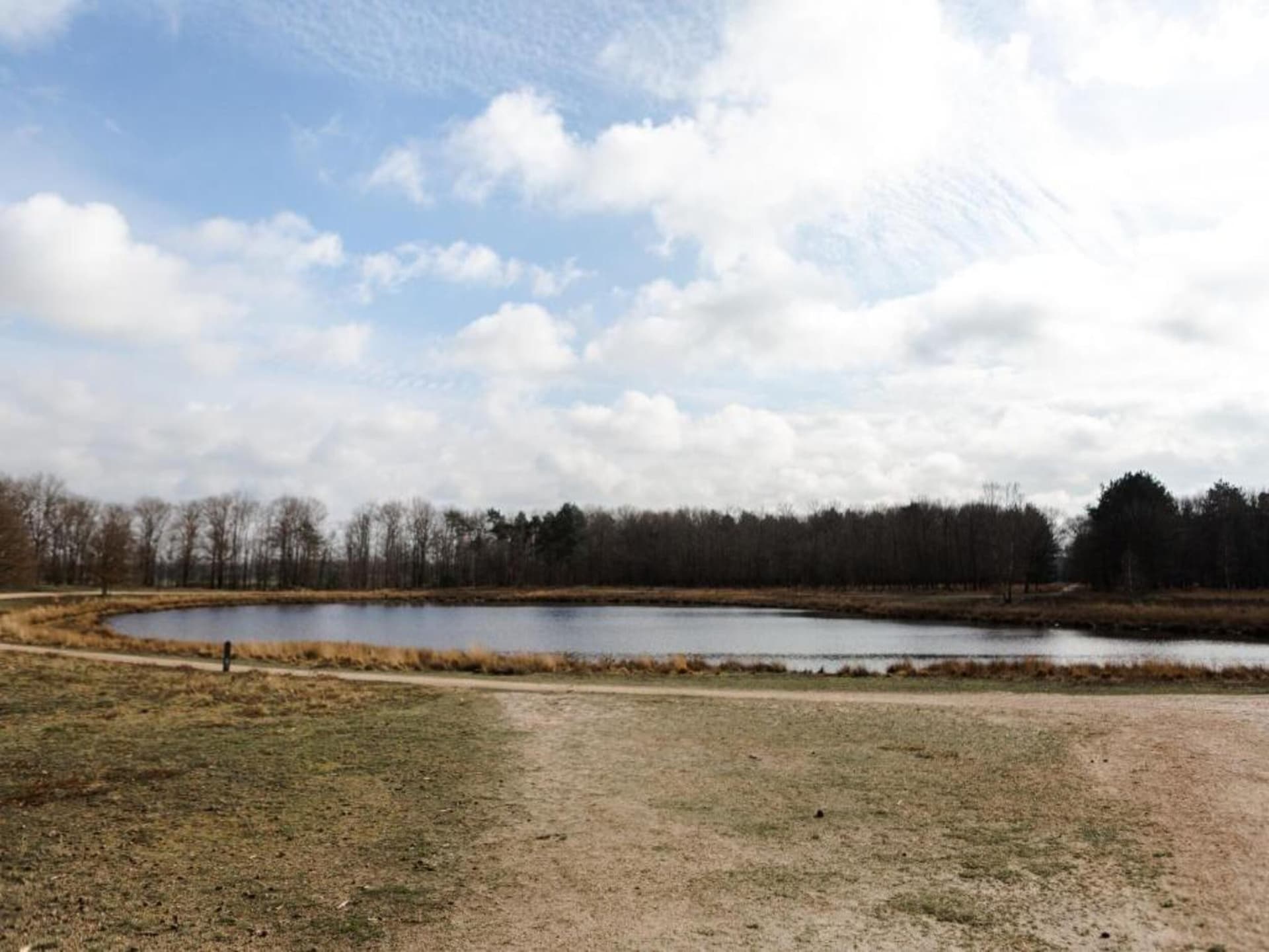 Dorpswoning Het Knusse: sfeervol vakantiehuis in het bos bij Leende - foto 33
