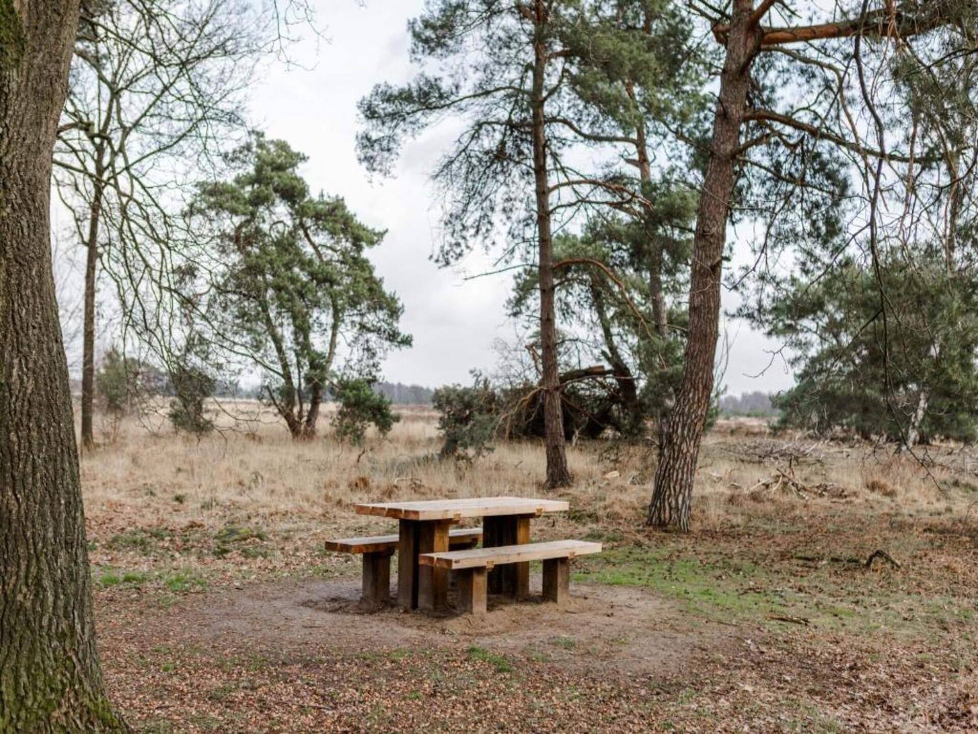 Dorpswoning Het Knusse: sfeervol vakantiehuis in het bos bij Leende - foto 31
