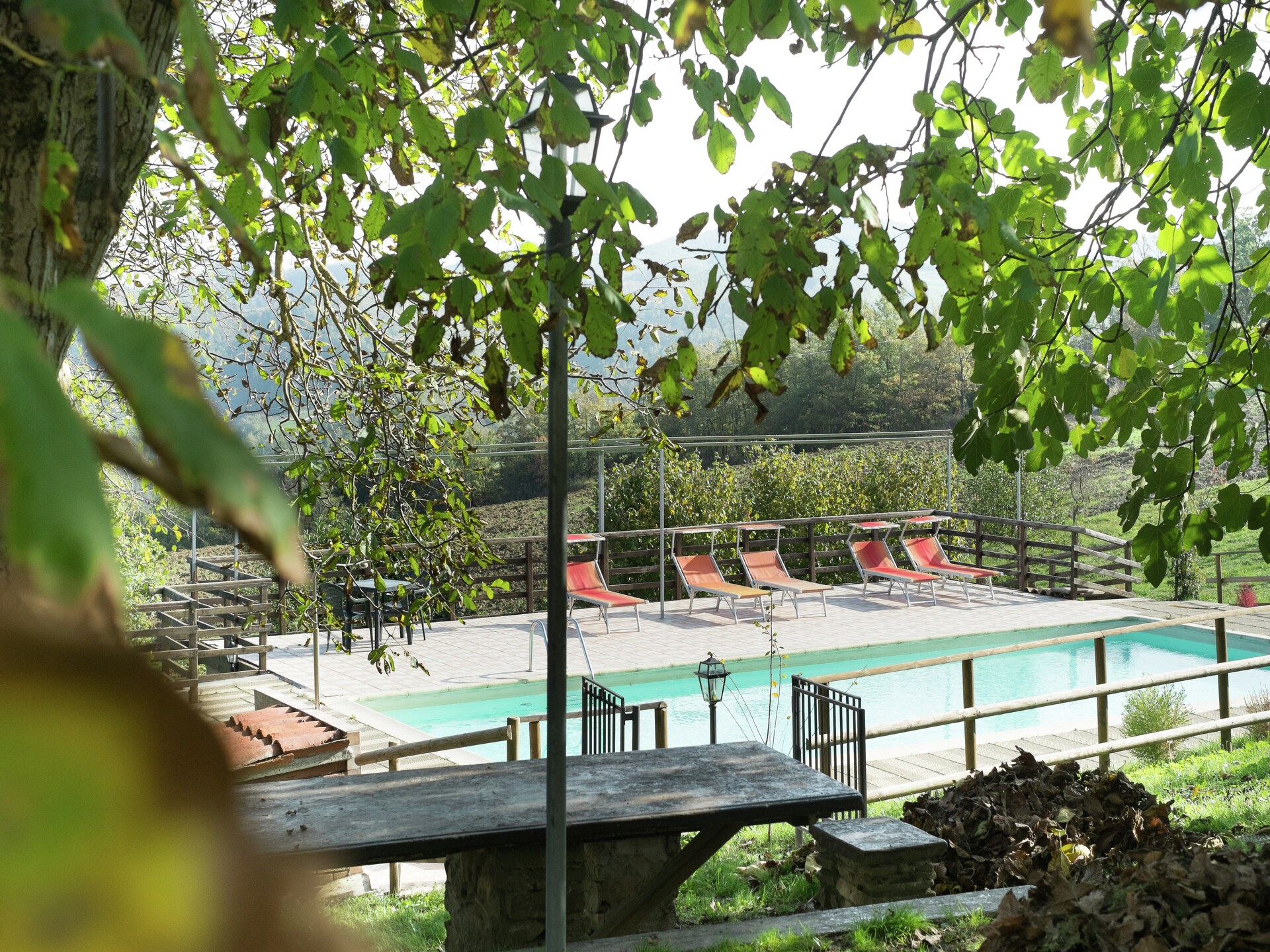 Privézwembad en rust op boerderij Tartufo in Apecchio - foto 11