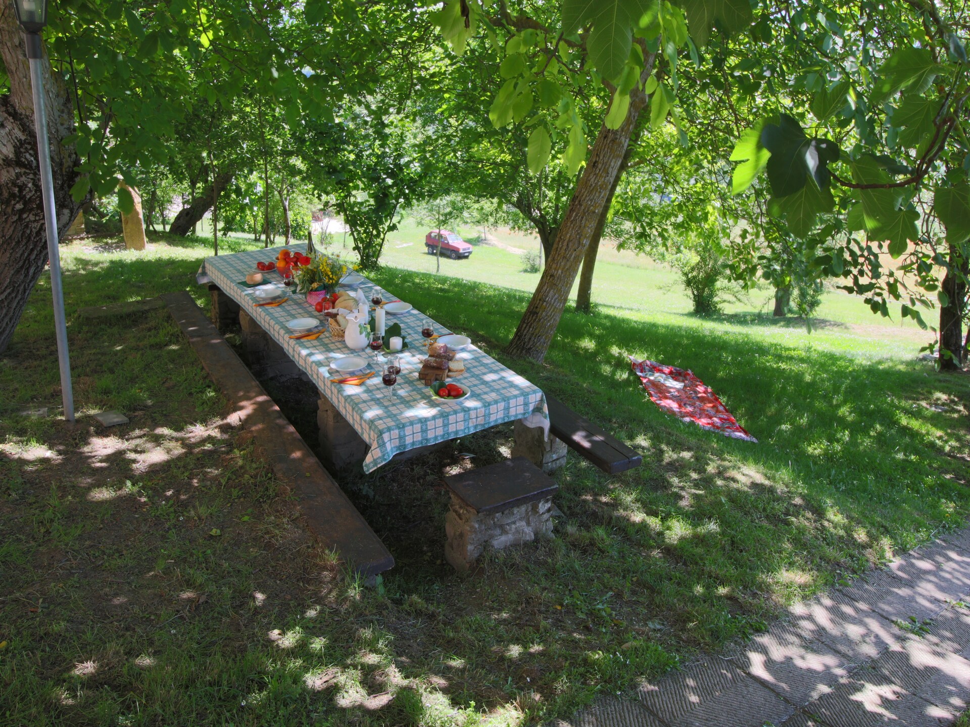 Privézwembad en rust op boerderij Tartufo in Apecchio - foto 32