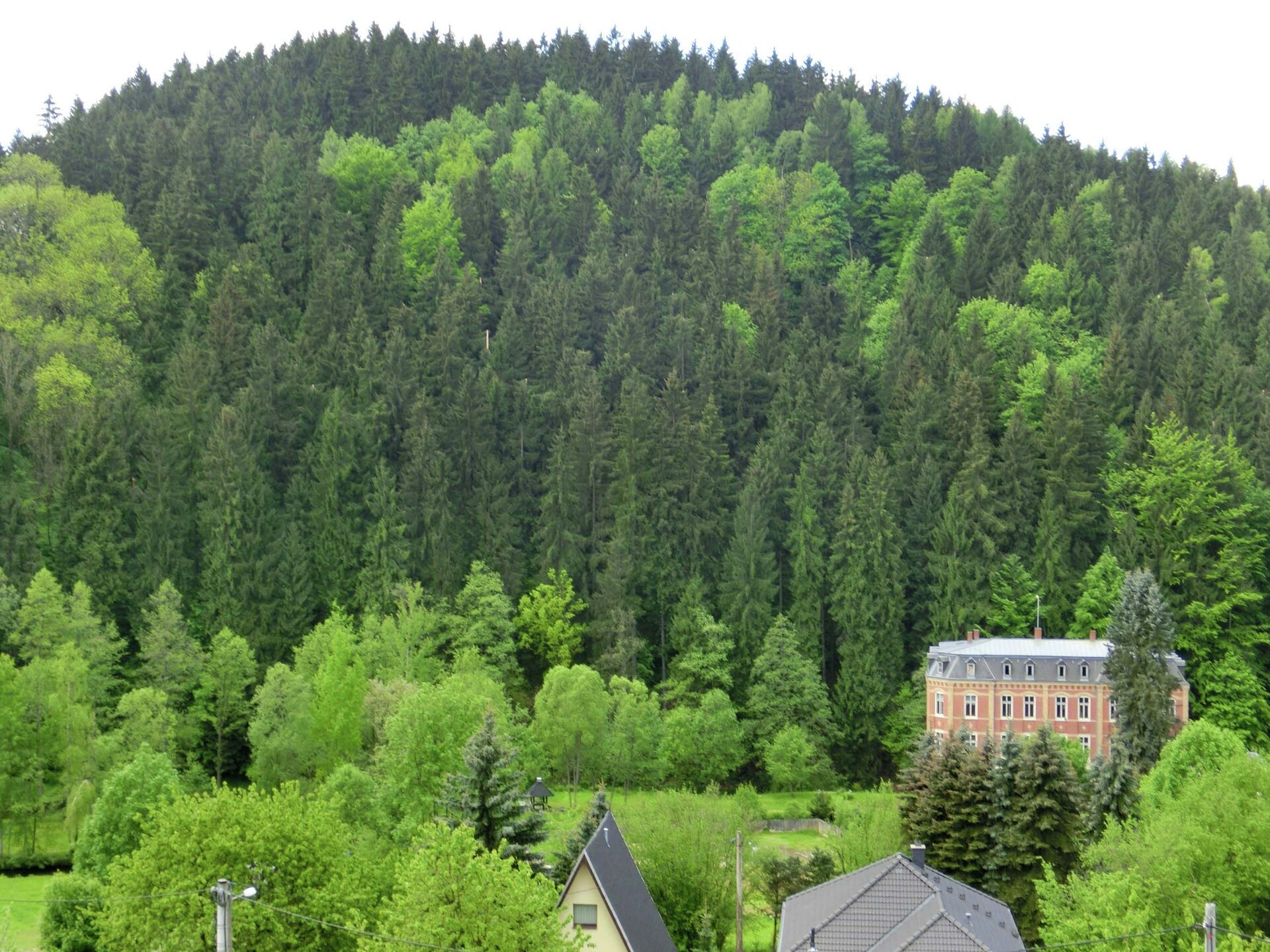 Moderne villa voor 3 in de bossen van Borstendorf, Ertsgebergte - foto 11