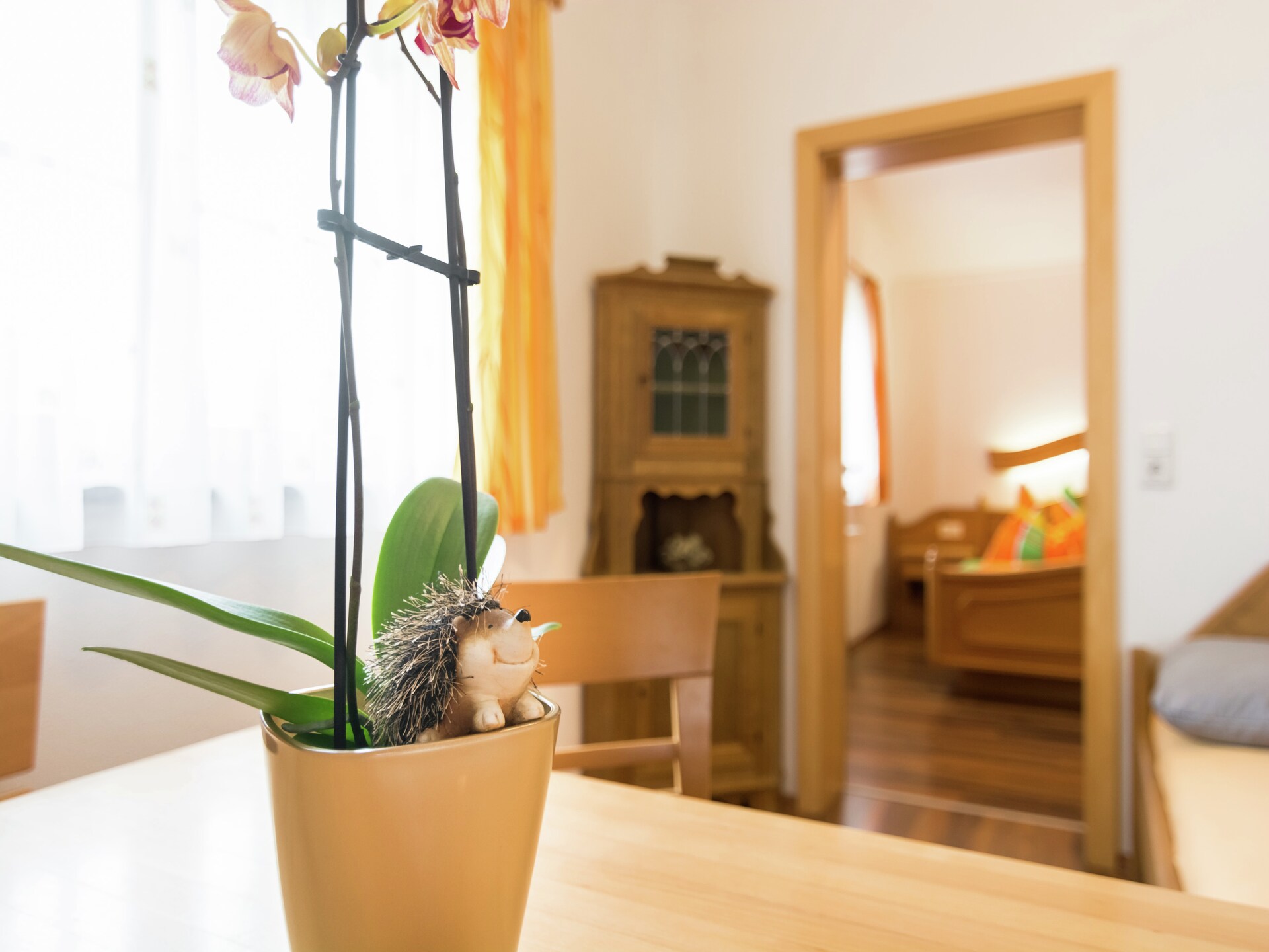 Aan de piste: Landhuis Apartment Maiskogel in Kaprun - foto 23