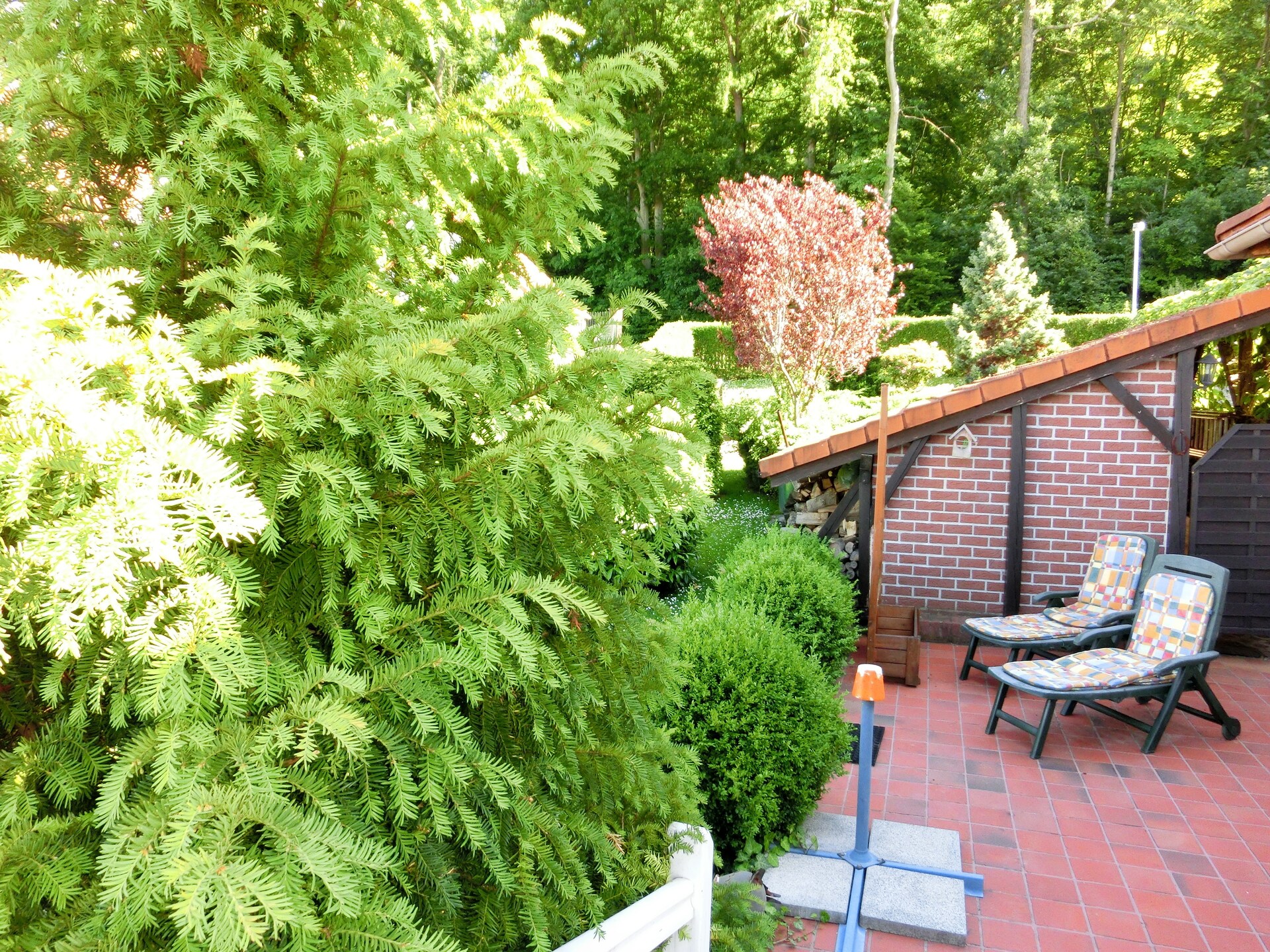 Ruime villa in Ballenstedt voor 8 personen met pool en tuin - foto 34