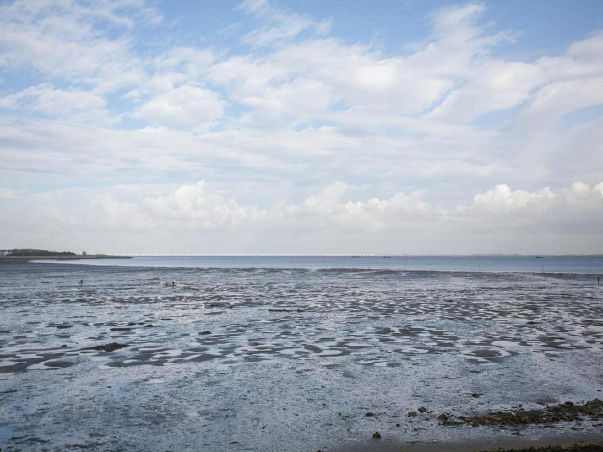 Knus vakantiehuis aan de Oosterschelde in hartje Kattendijke - foto 36