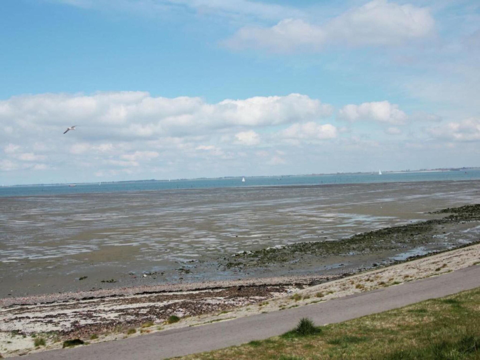 Knus vakantiehuis aan de Oosterschelde in hartje Kattendijke - foto 40