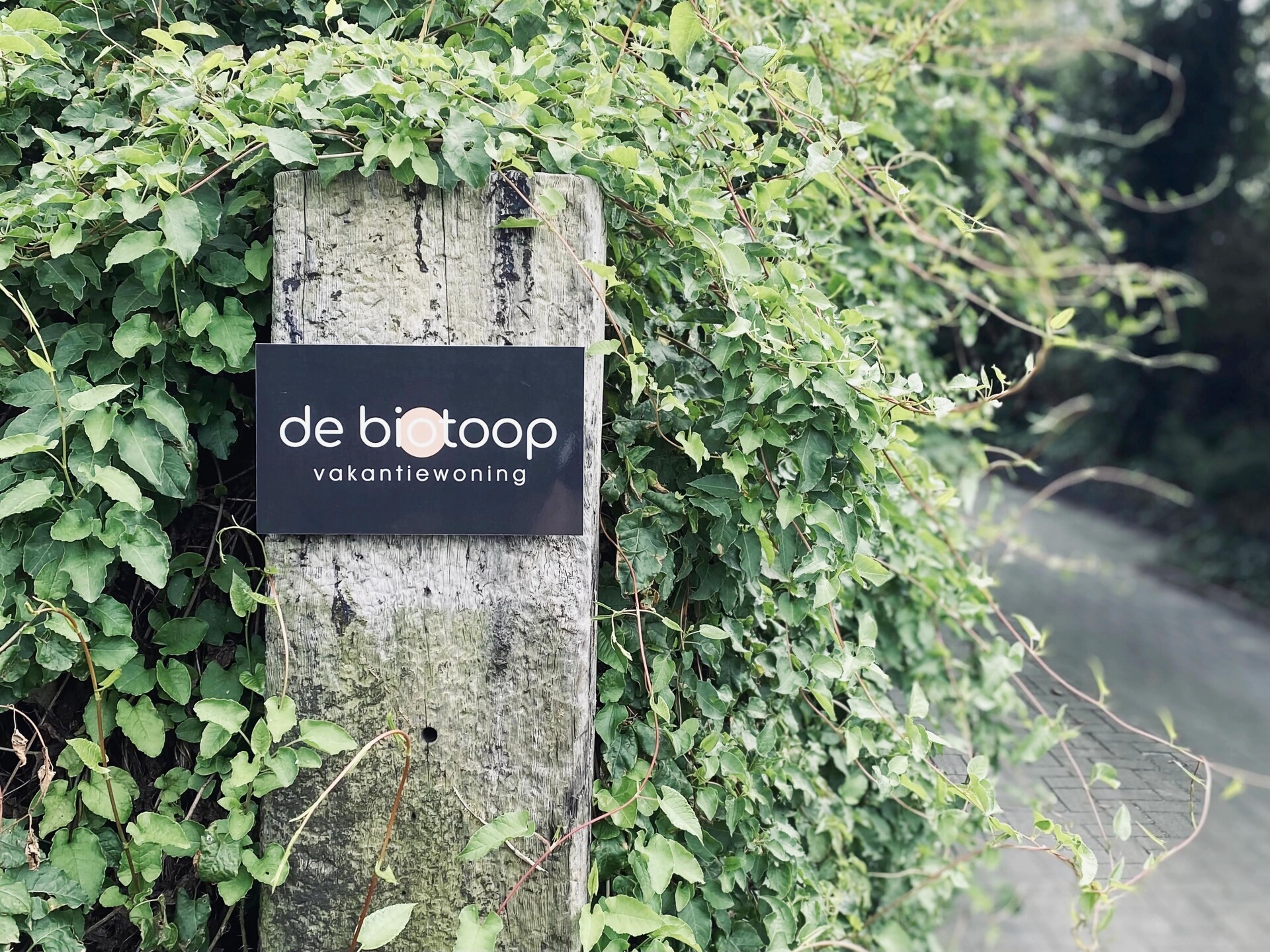 Designvilla De Biotoop: luxe verblijf op loopafstand van het strand - foto 38