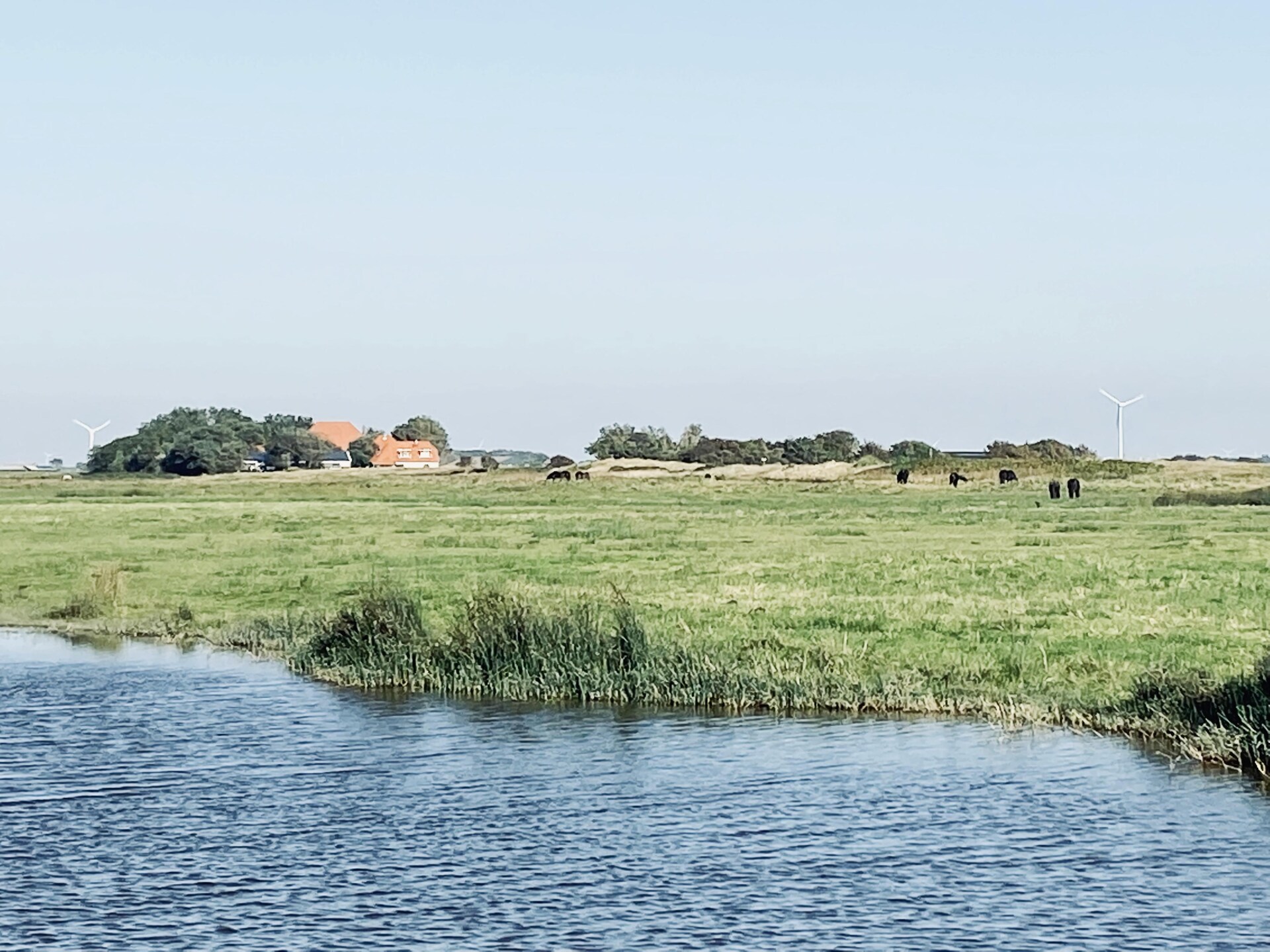 Designvilla De Biotoop: luxe verblijf op loopafstand van het strand - foto 26