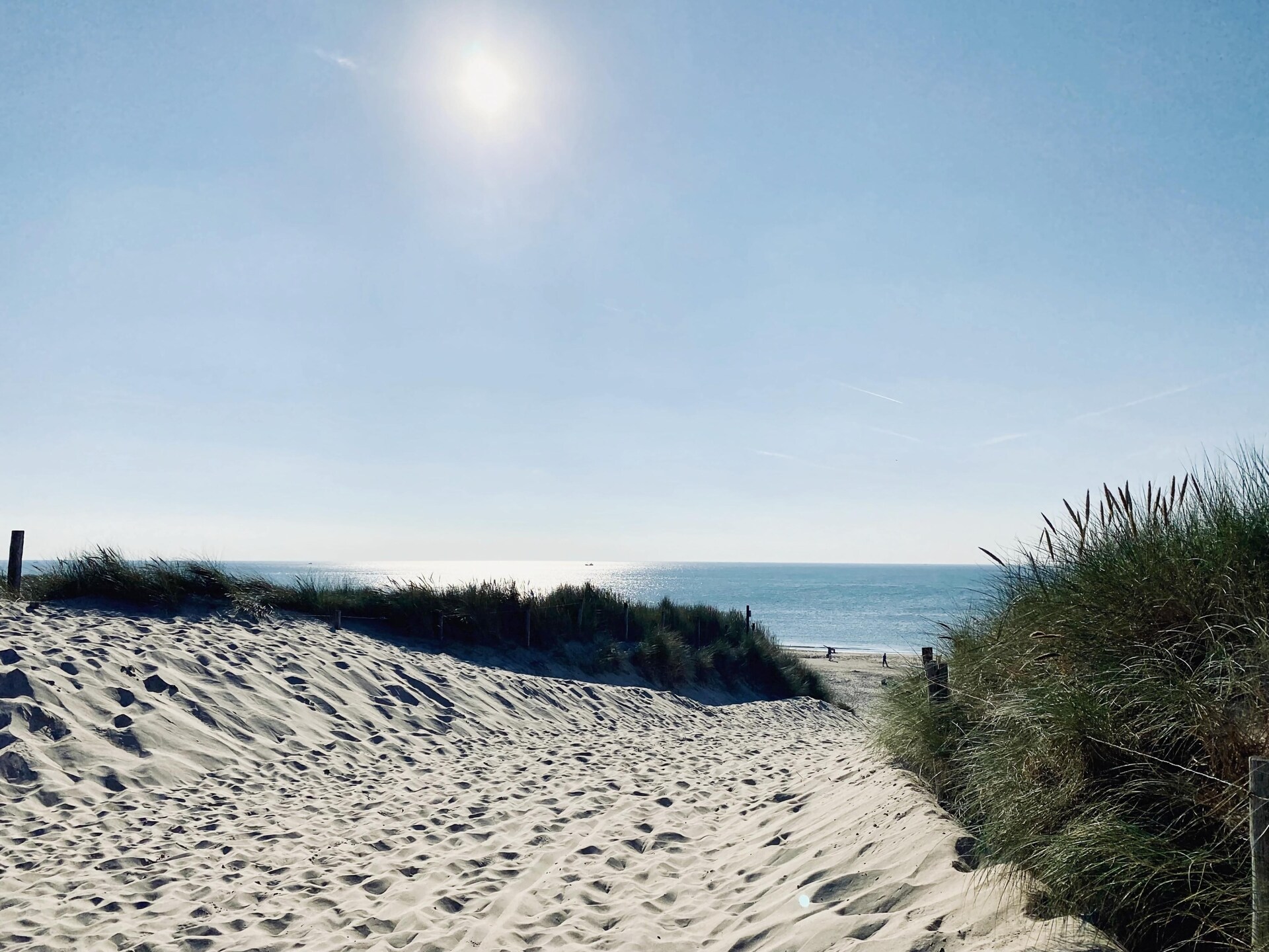 Designvilla De Biotoop: luxe verblijf op loopafstand van het strand - foto 34
