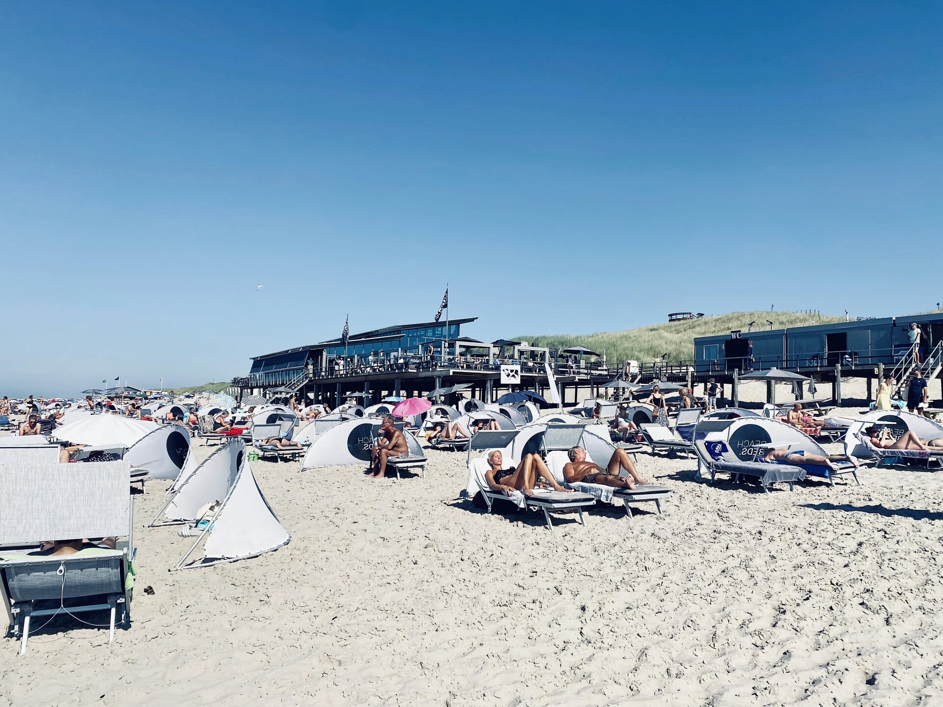 Designvilla De Biotoop: luxe verblijf op loopafstand van het strand - foto 28