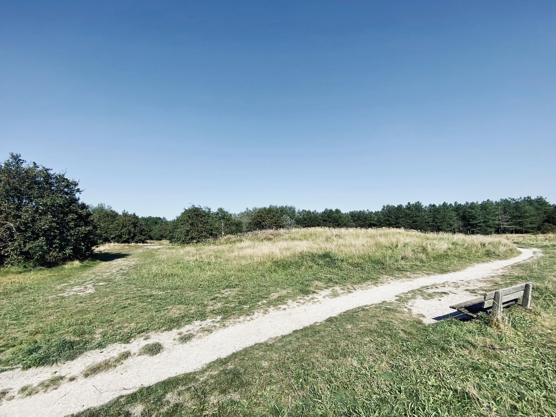 Designvilla De Biotoop: luxe verblijf op loopafstand van het strand - foto 29