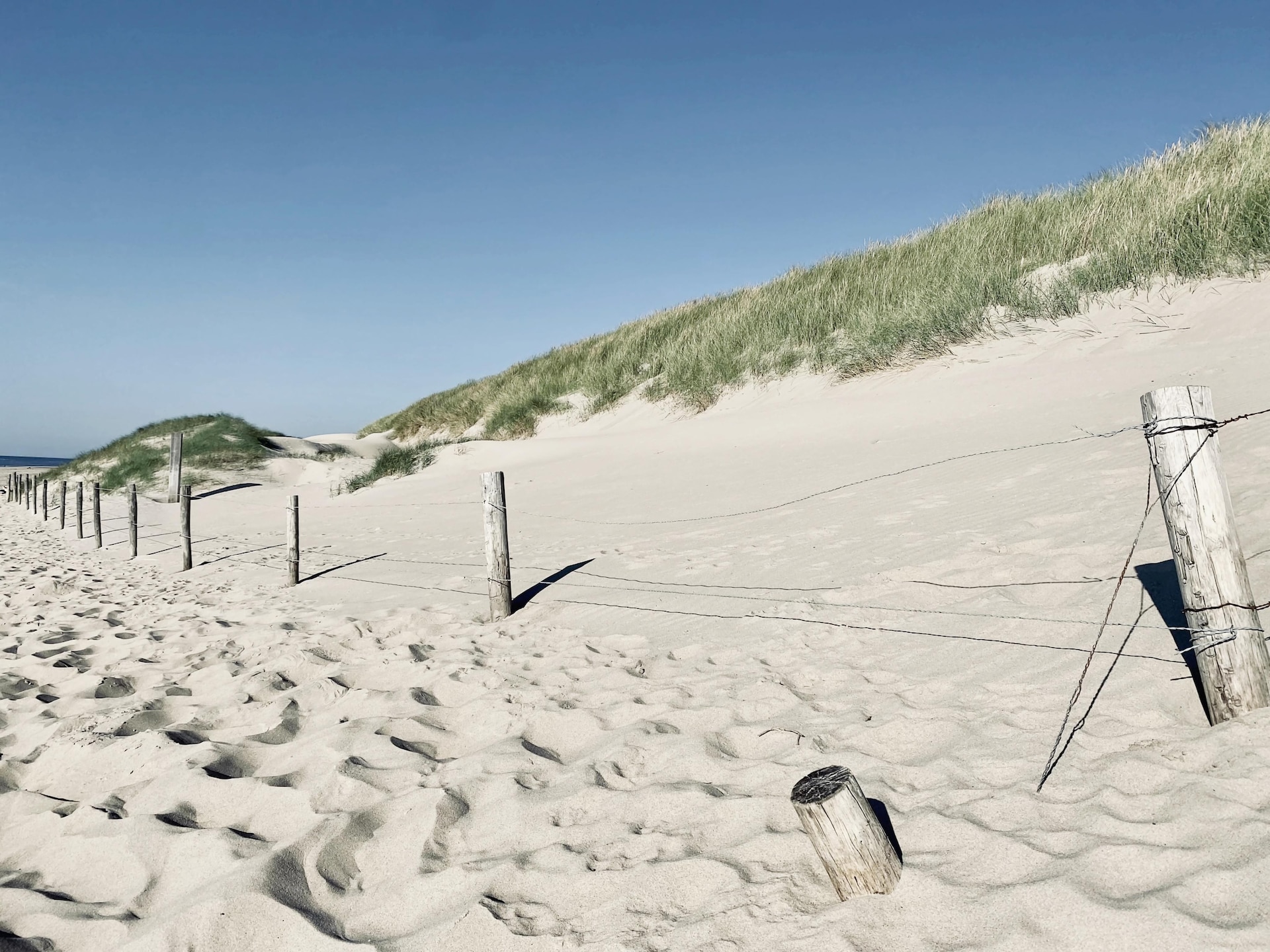 Designvilla De Biotoop: luxe verblijf op loopafstand van het strand - foto 30