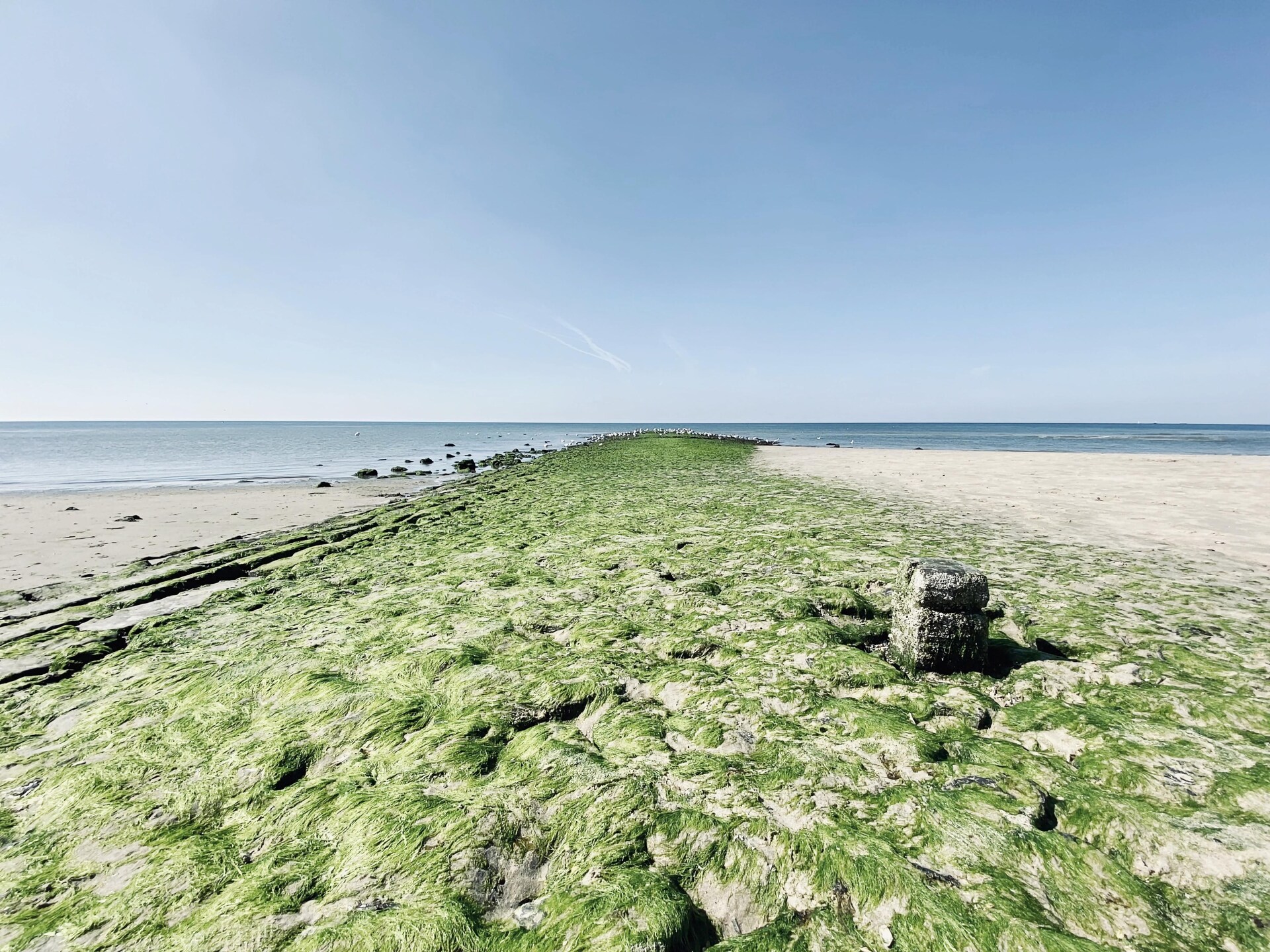 Designvilla De Biotoop: luxe verblijf op loopafstand van het strand - foto 35