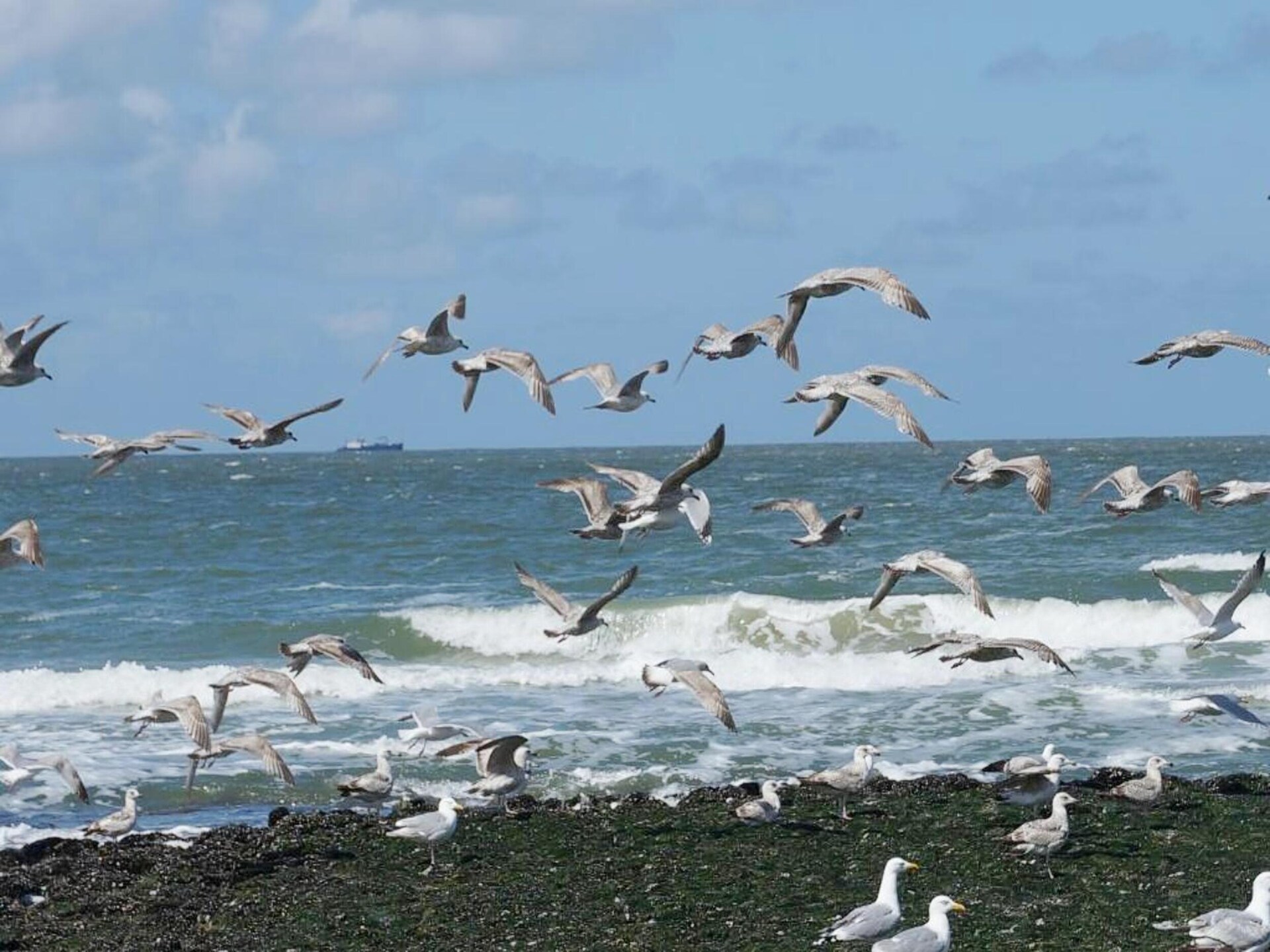 Designvilla De Biotoop: luxe verblijf op loopafstand van het strand - foto 37