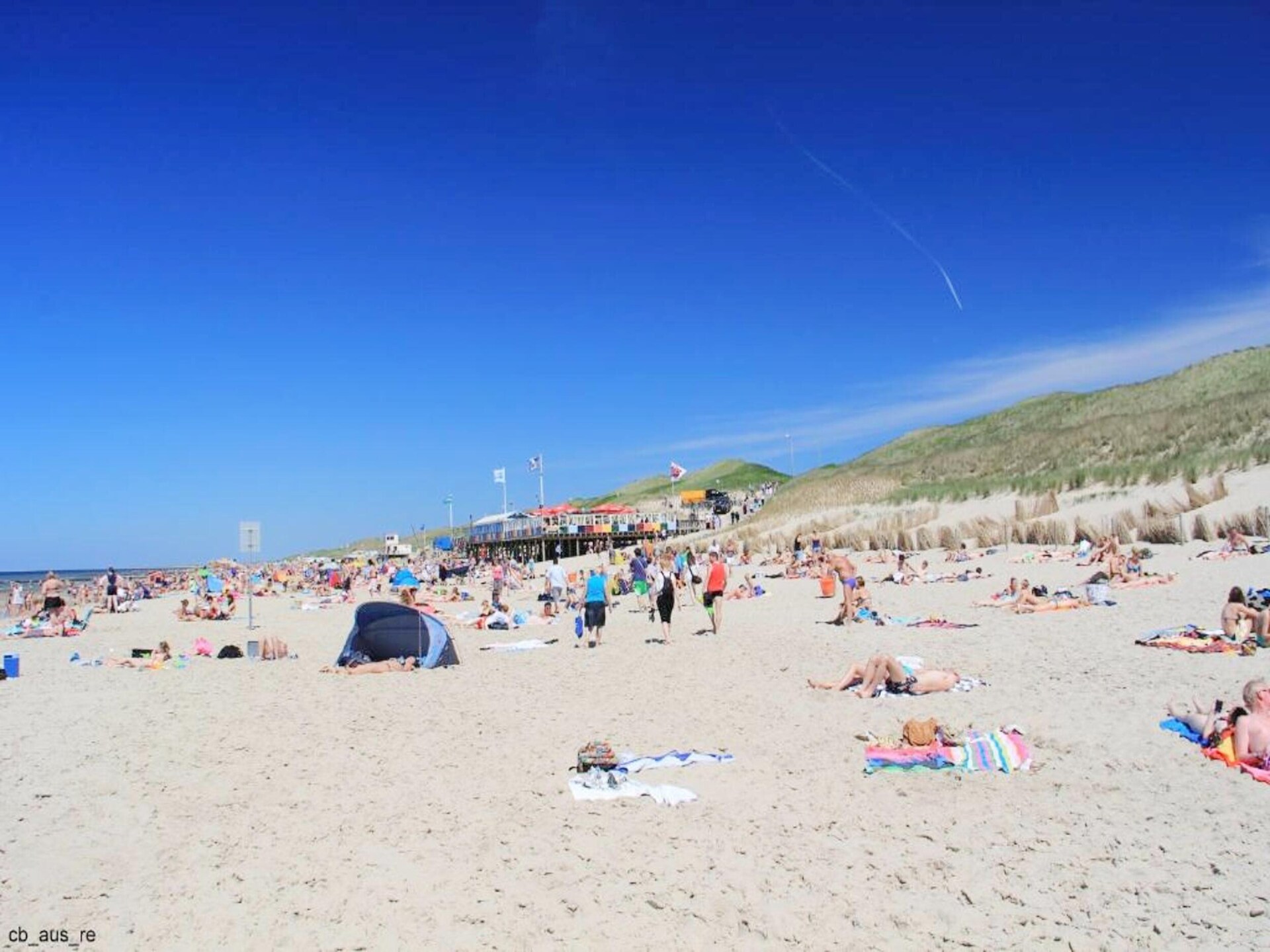 Designvilla De Biotoop: luxe verblijf op loopafstand van het strand - foto 31
