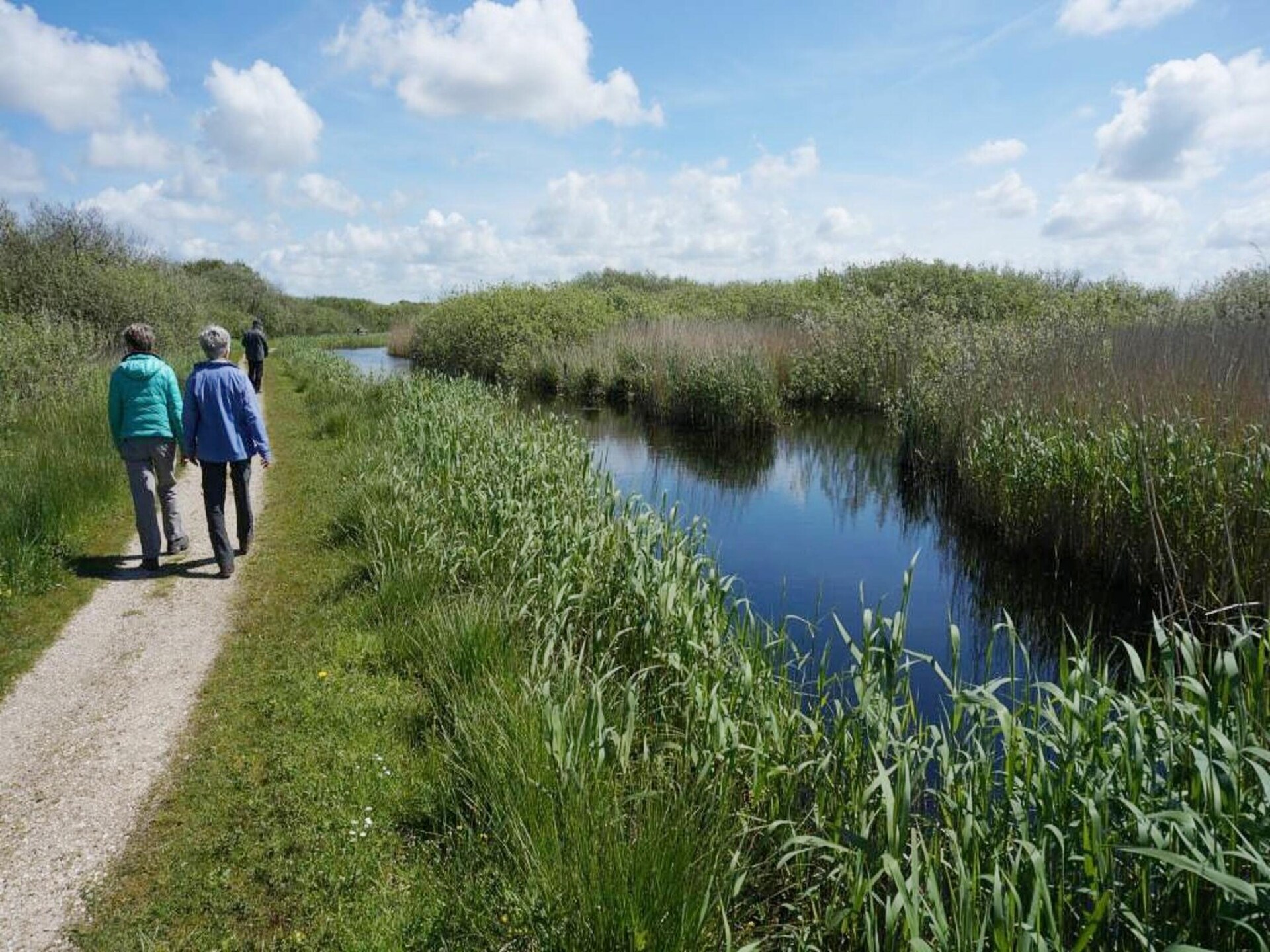 Designvilla De Biotoop: luxe verblijf op loopafstand van het strand - foto 32