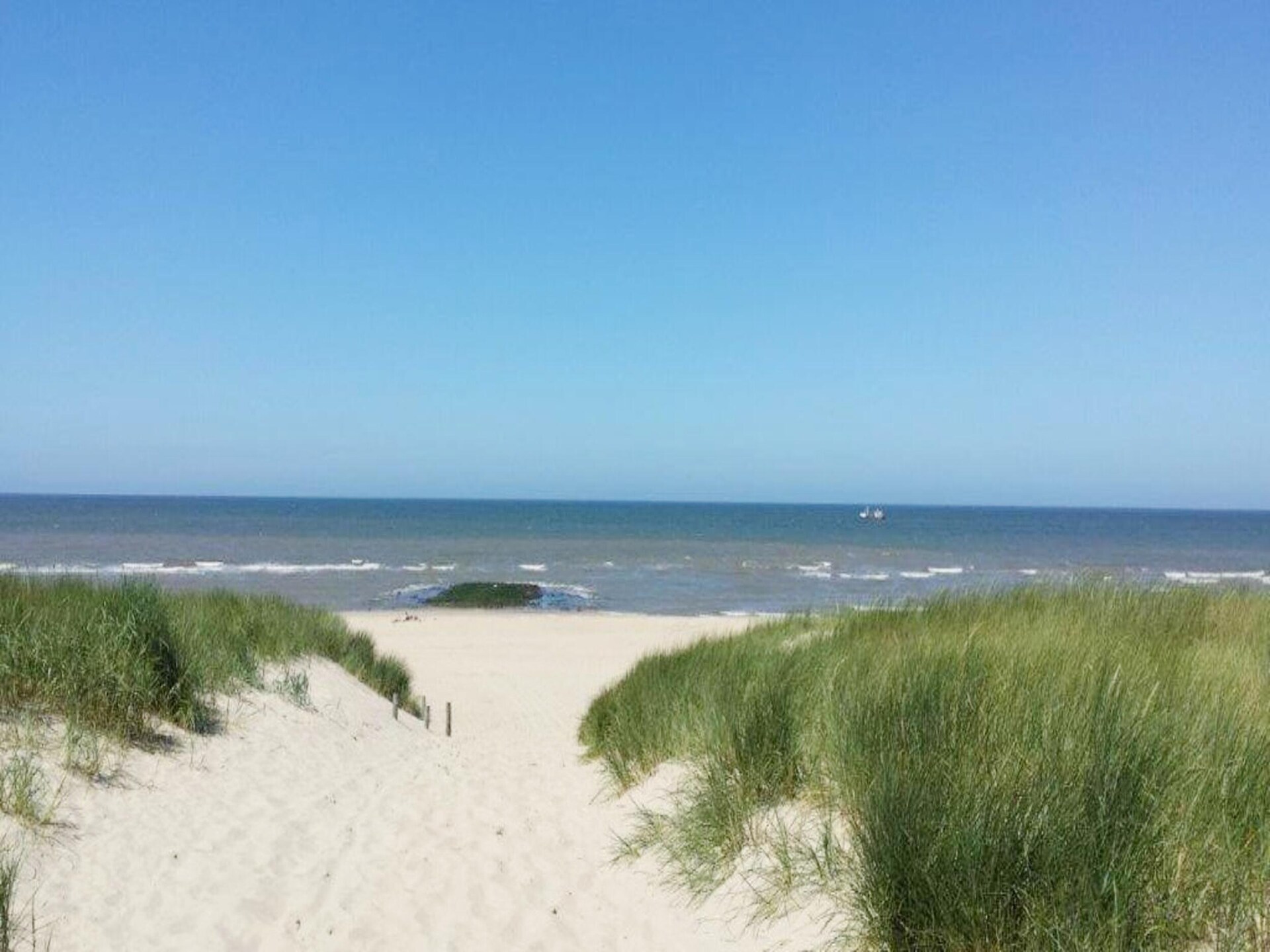 Designvilla De Biotoop: luxe verblijf op loopafstand van het strand - foto 33