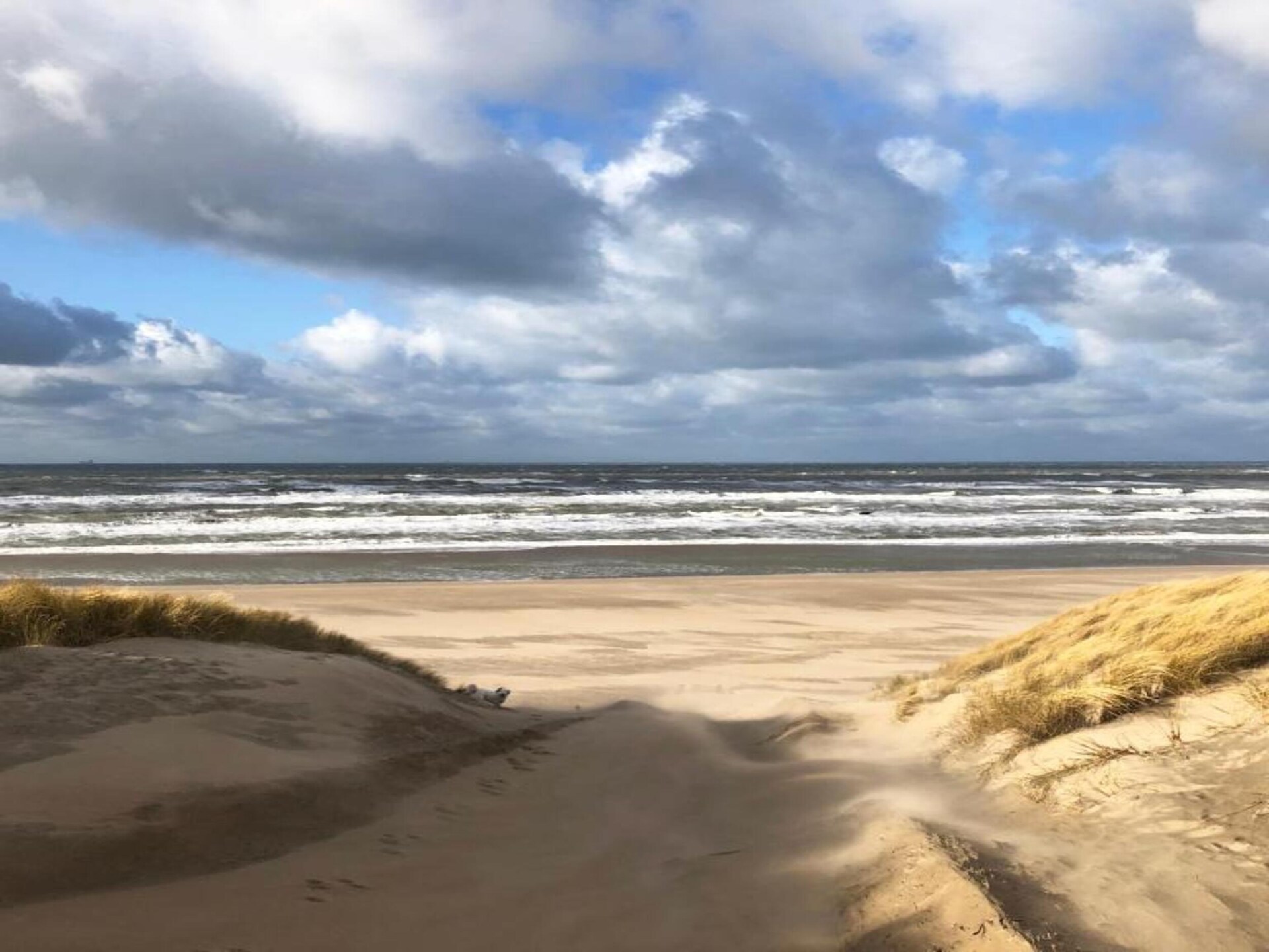Ziezee: Modern appartement aan zee in Katwijk - foto 40