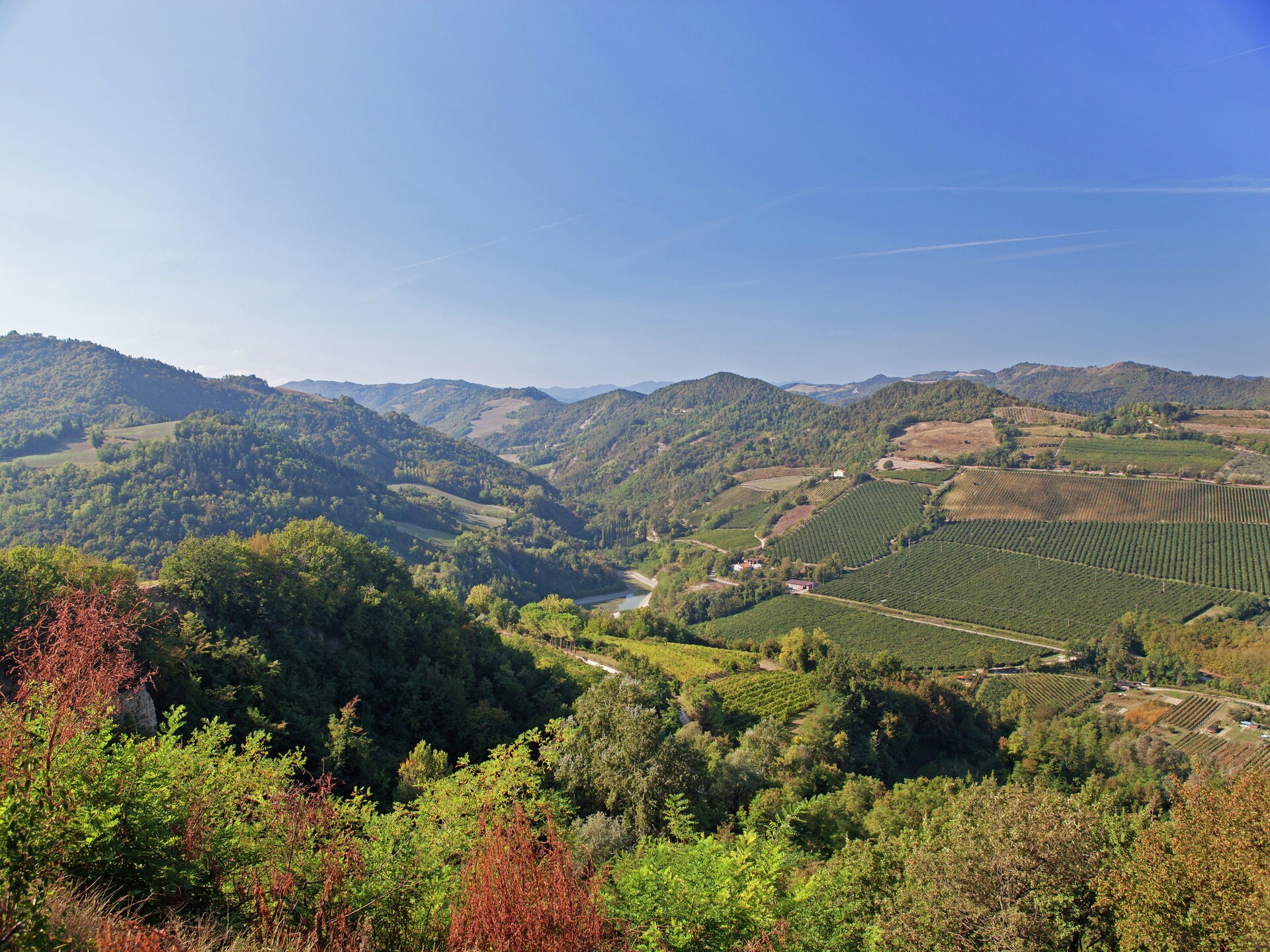 Ruim appartement op Toscaans-Romagnoolse heuvels met gedeeld zwembad - foto 29