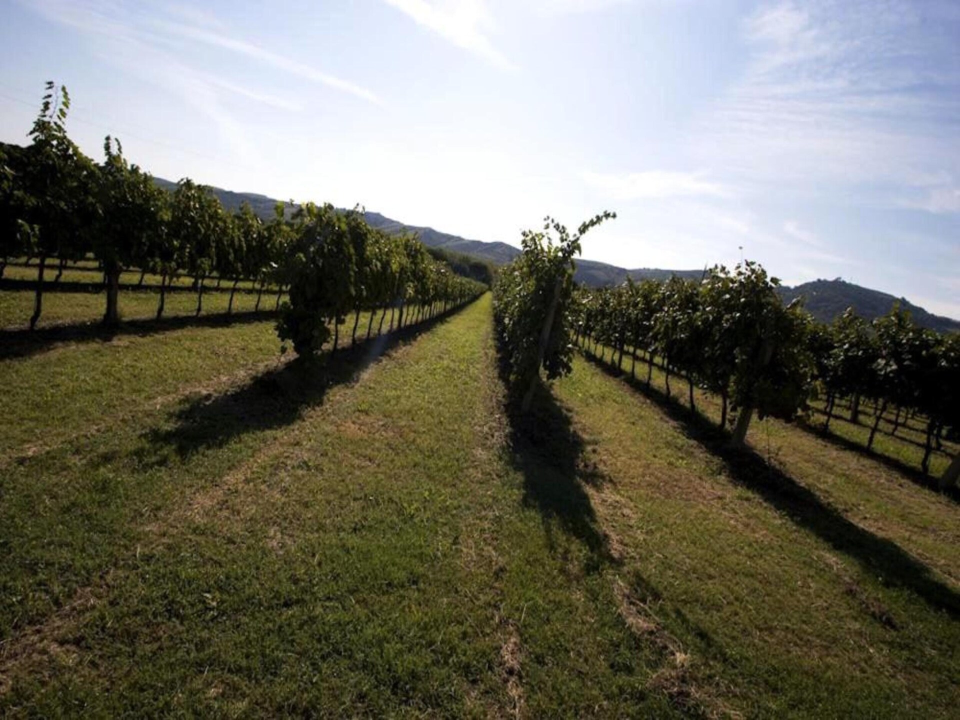 Ruim appartement op Toscaans-Romagnoolse heuvels met gedeeld zwembad - foto 35