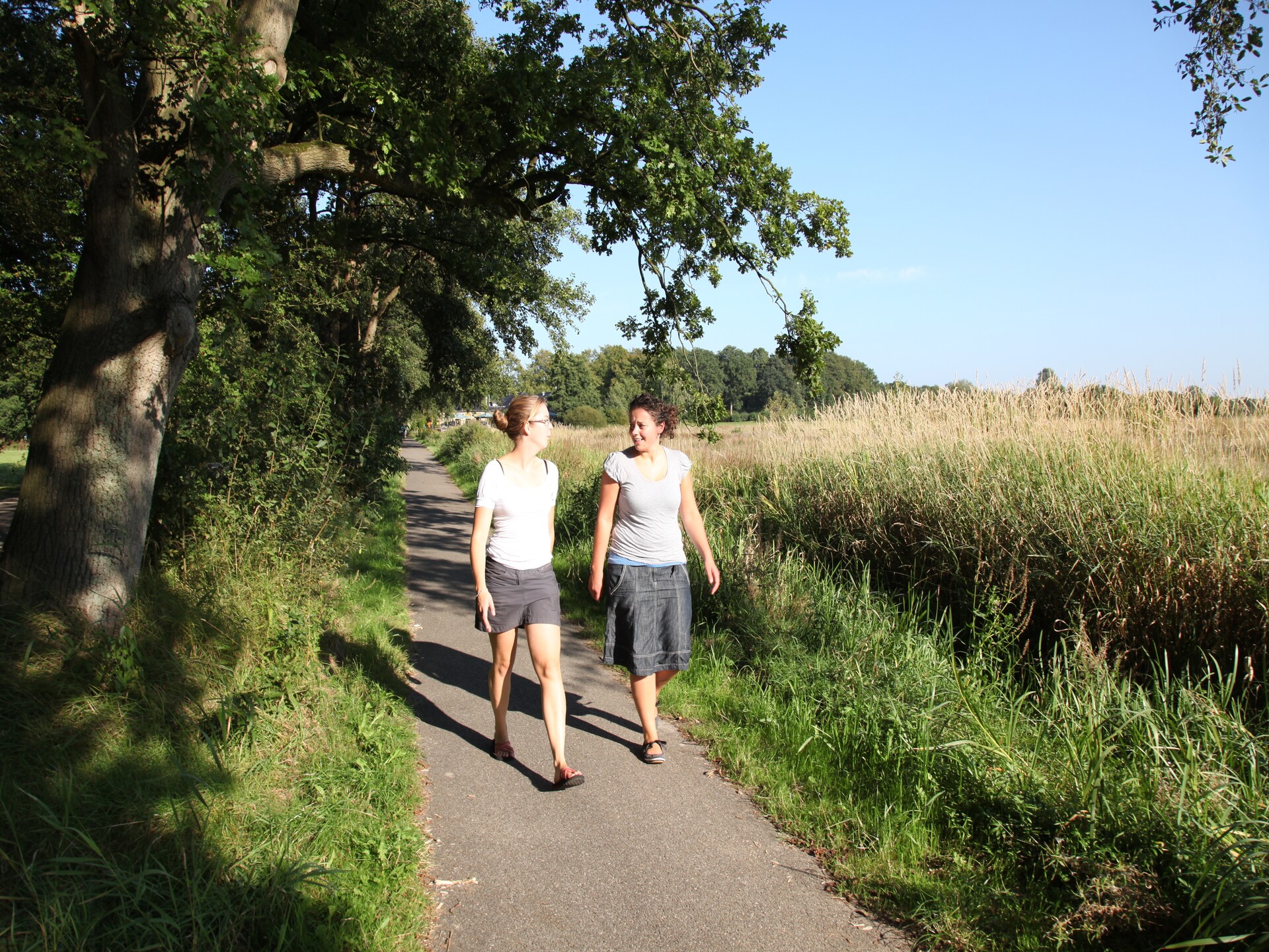 Comfortabele villa op Villapark Akenveen in Drentse natuur, honden toegestaan - foto 25