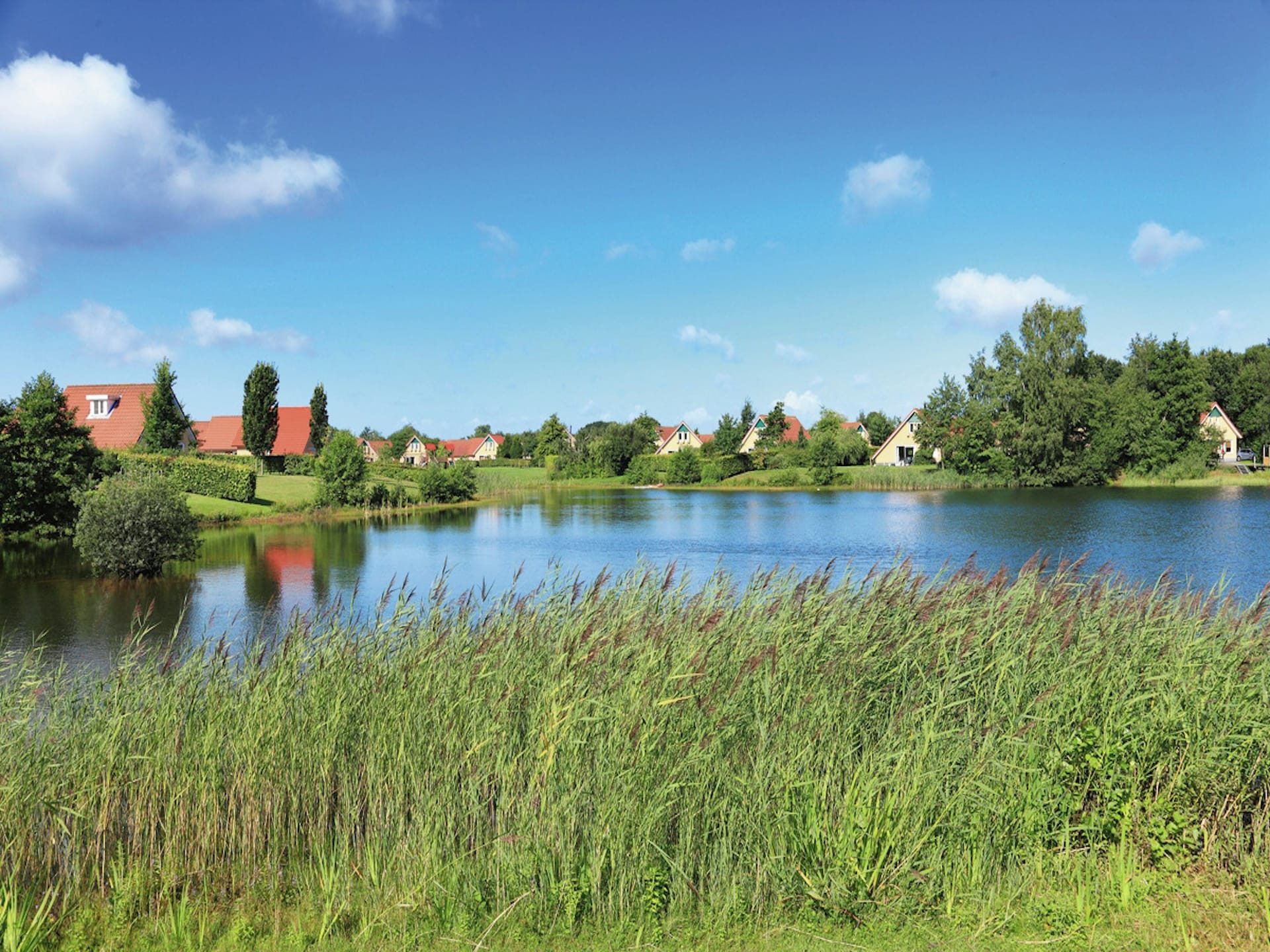 Comfortabele villa op Villapark Akenveen in Drentse natuur, honden toegestaan - foto 20