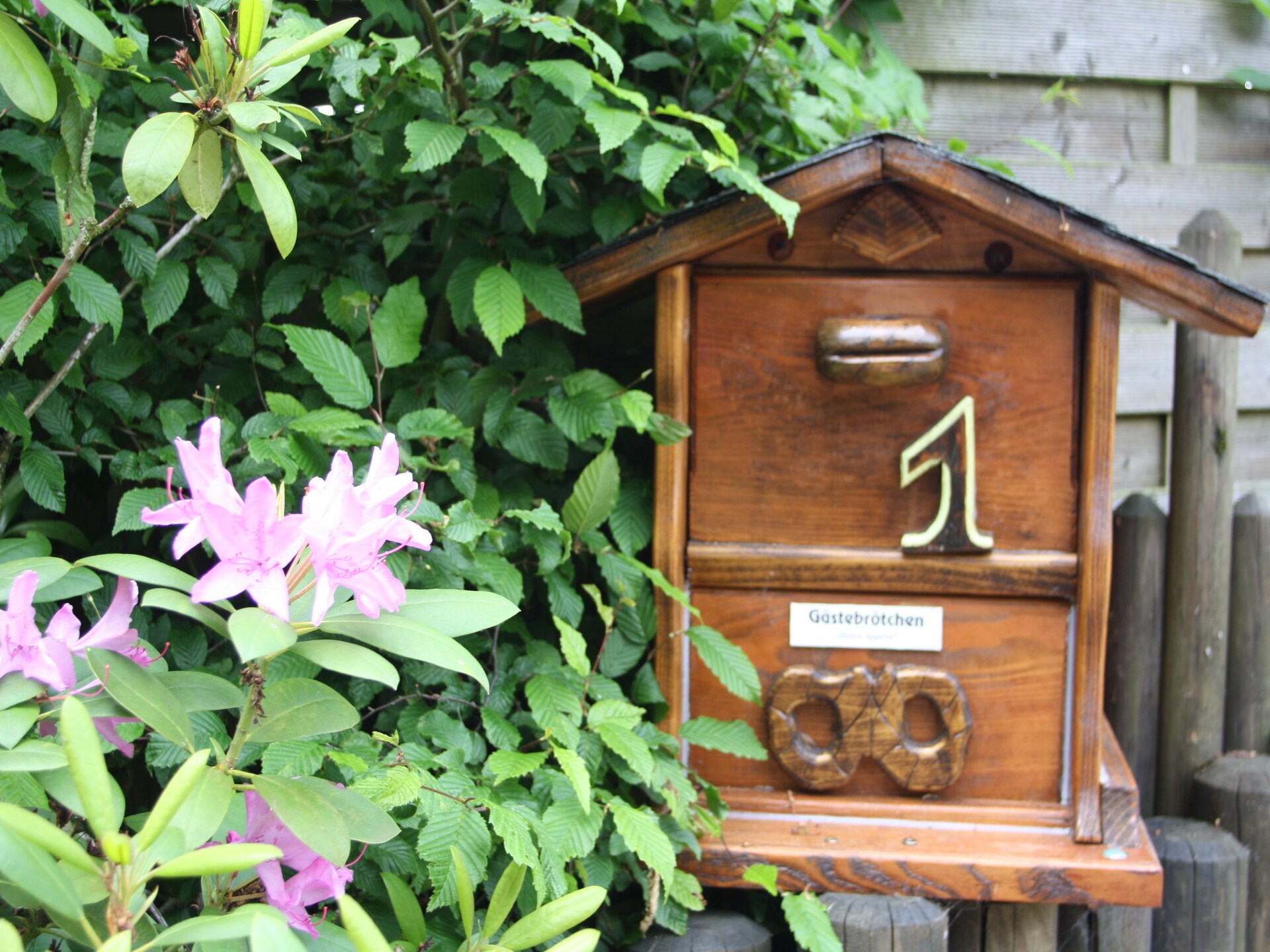 Aan het meer: Rustgevend appartement in het centrum van Diemelsee - foto 33