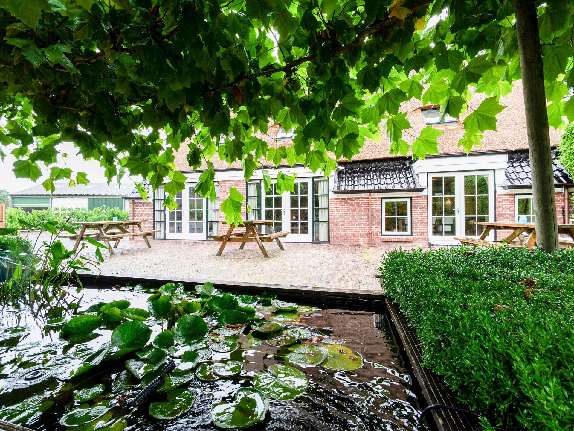 Heide State: Luxe boerderij met wellness in het hart van Friesland - foto 36