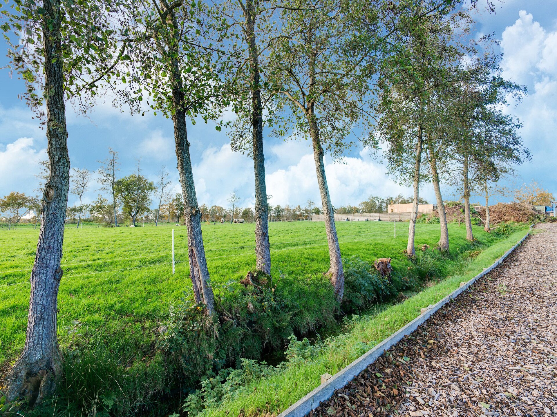 Heide State: Luxe boerderij met wellness in het hart van Friesland - foto 37