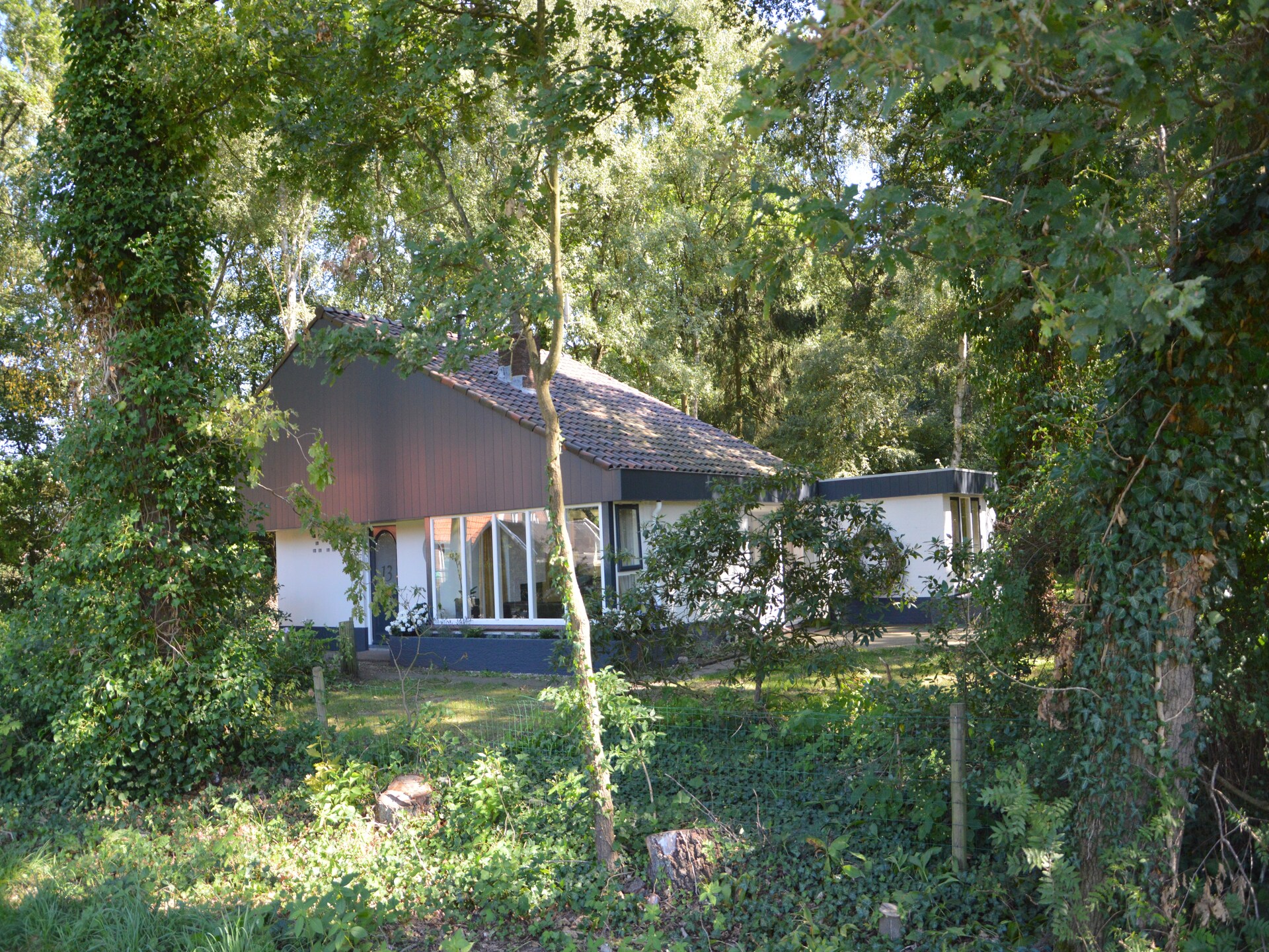 De Ouwe Diepvries: knus vakantiehuis in het bos van Haaksbergen - foto 17